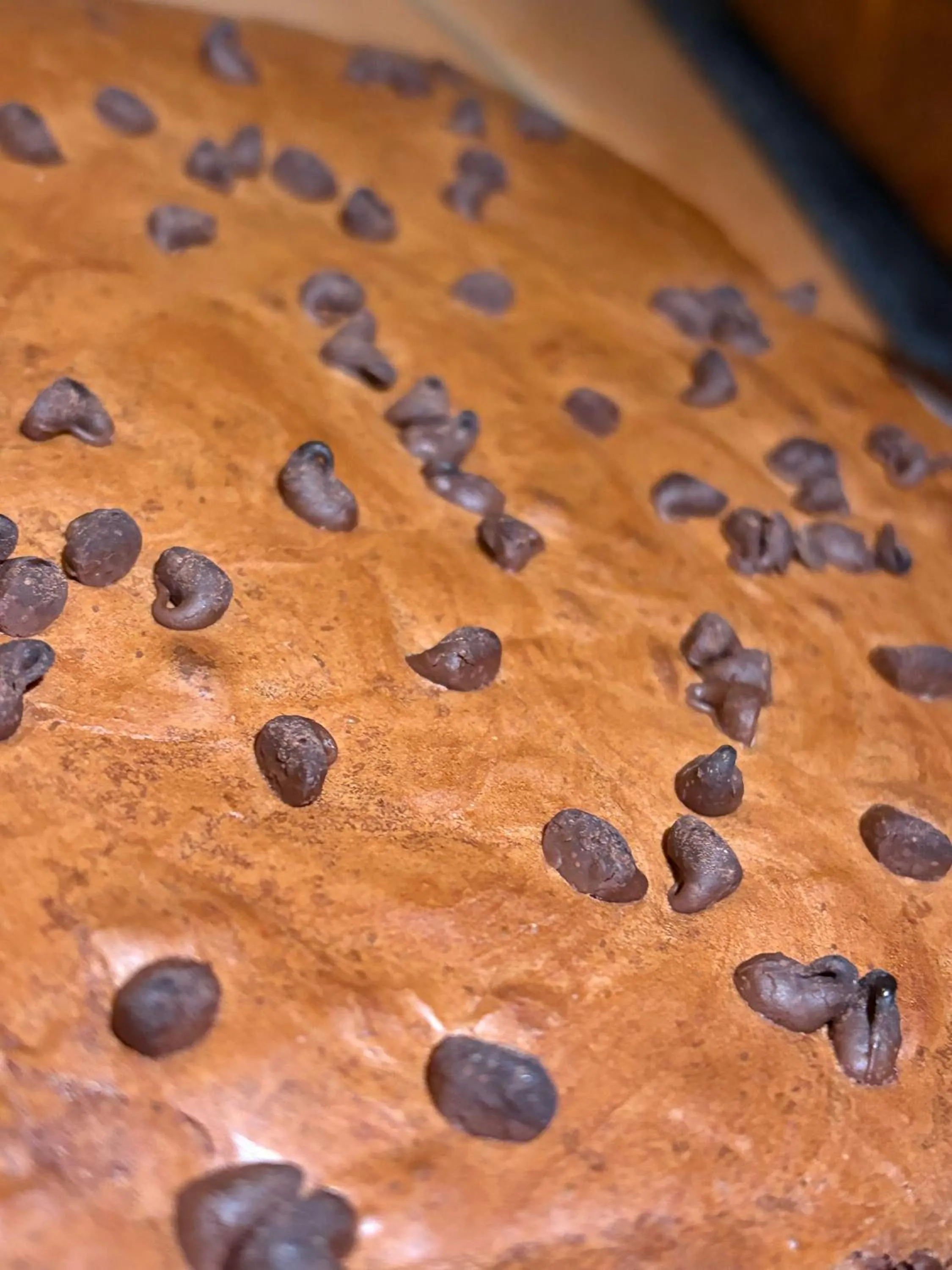 Logis Hôtel La Ferme de Flaran