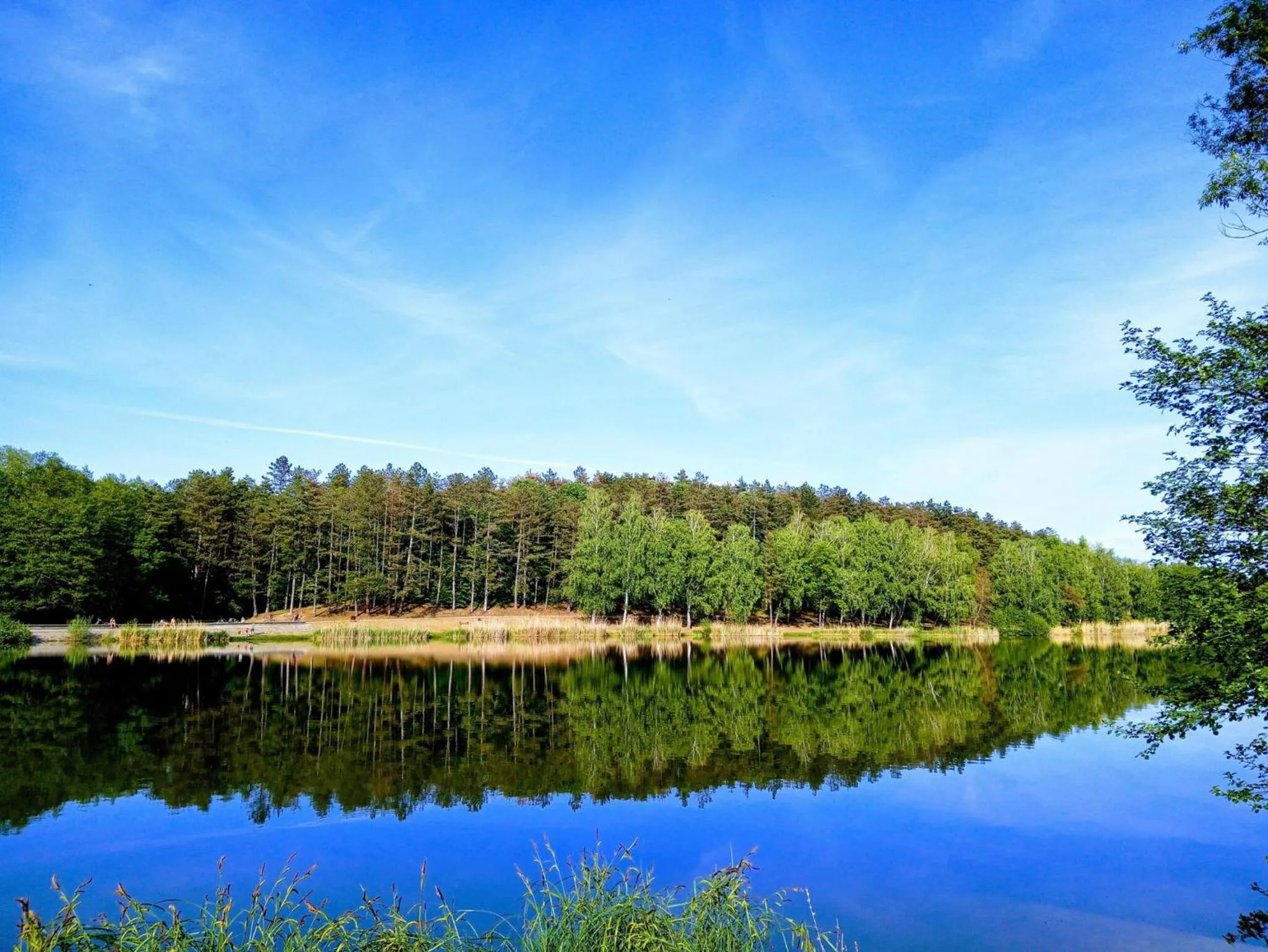 Neighbourhood in Sztár Motel Étterem