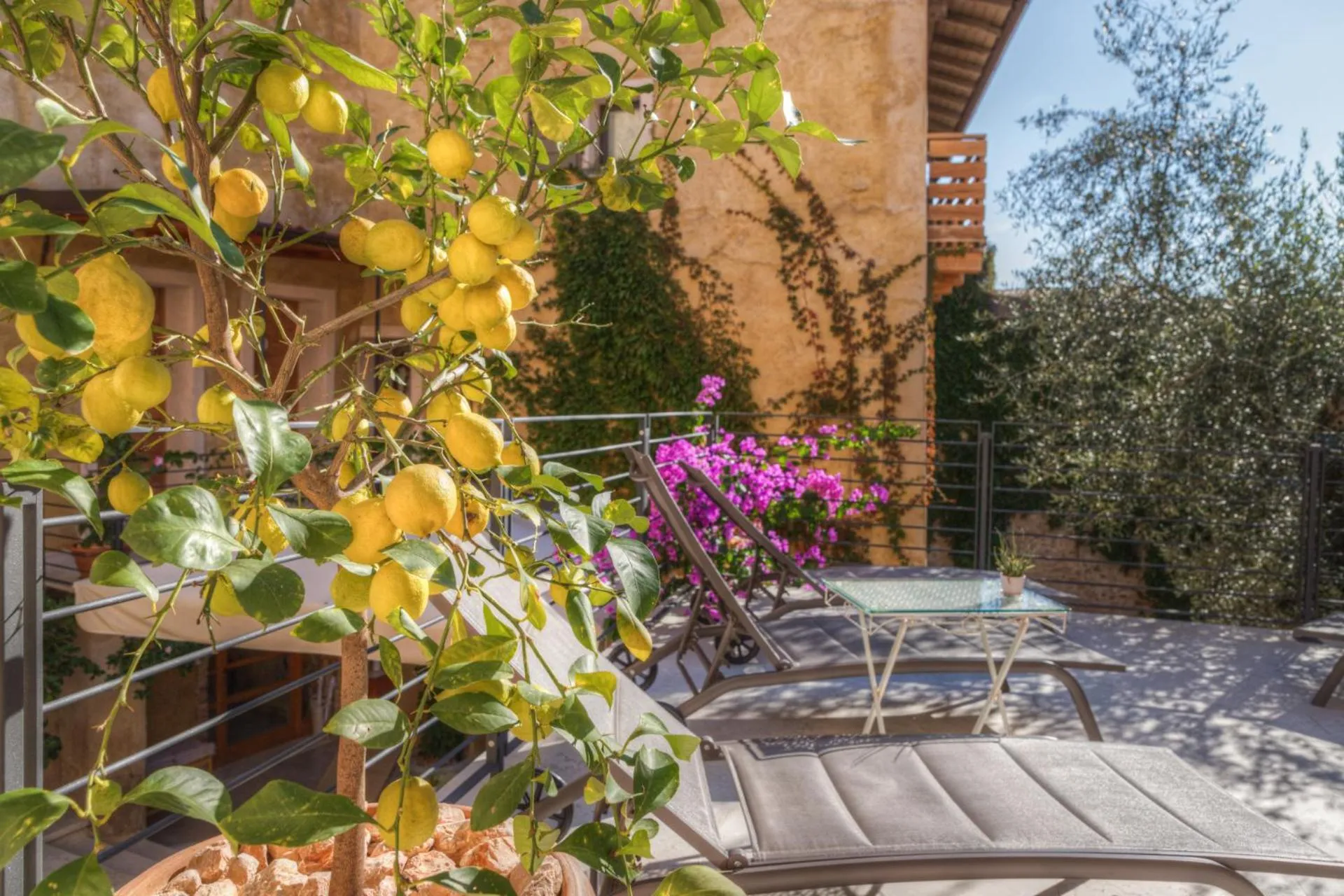 Garden in Corte Alma Spa and Luxury Home