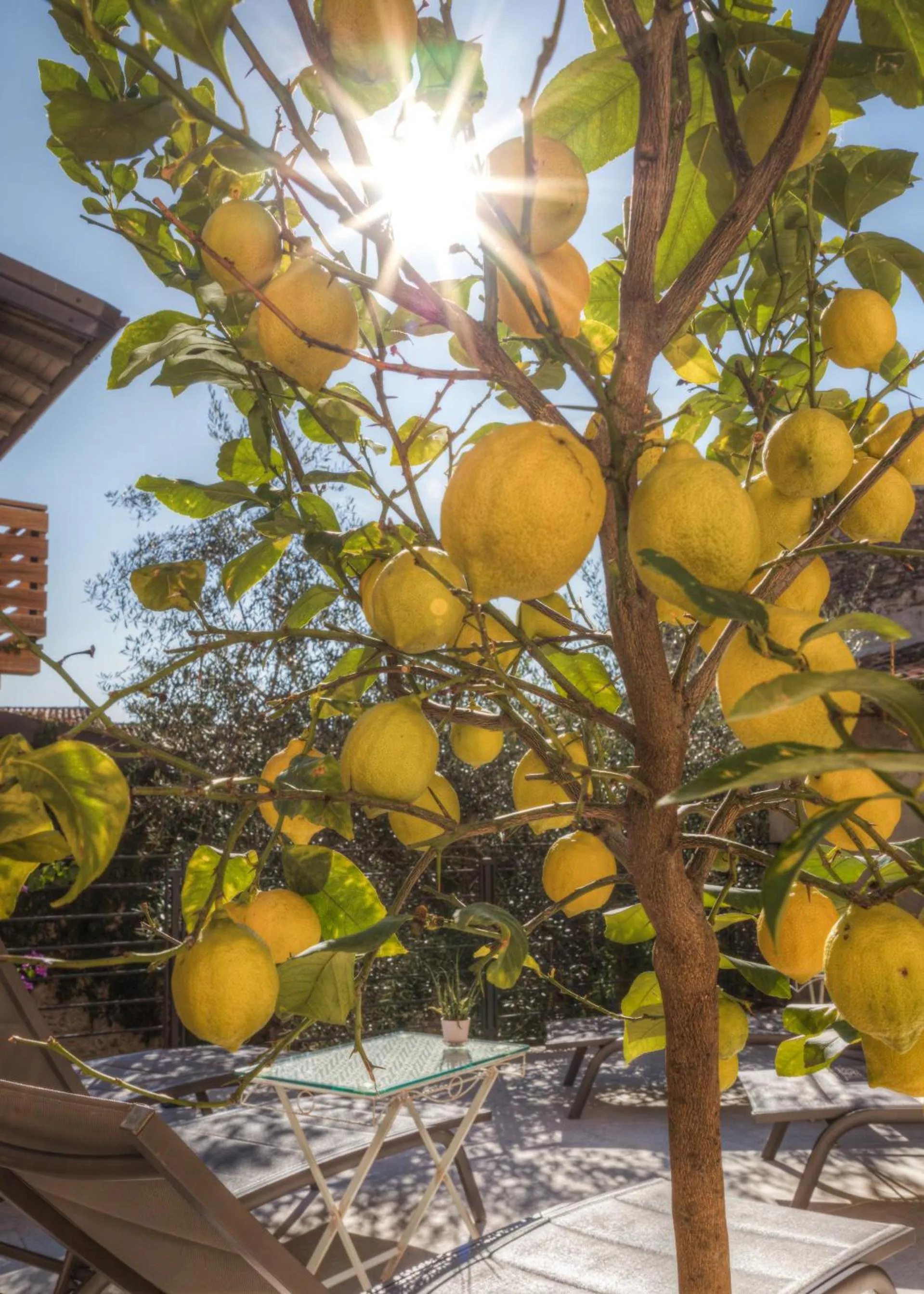 Decorative detail in Corte Alma Spa and Luxury Home