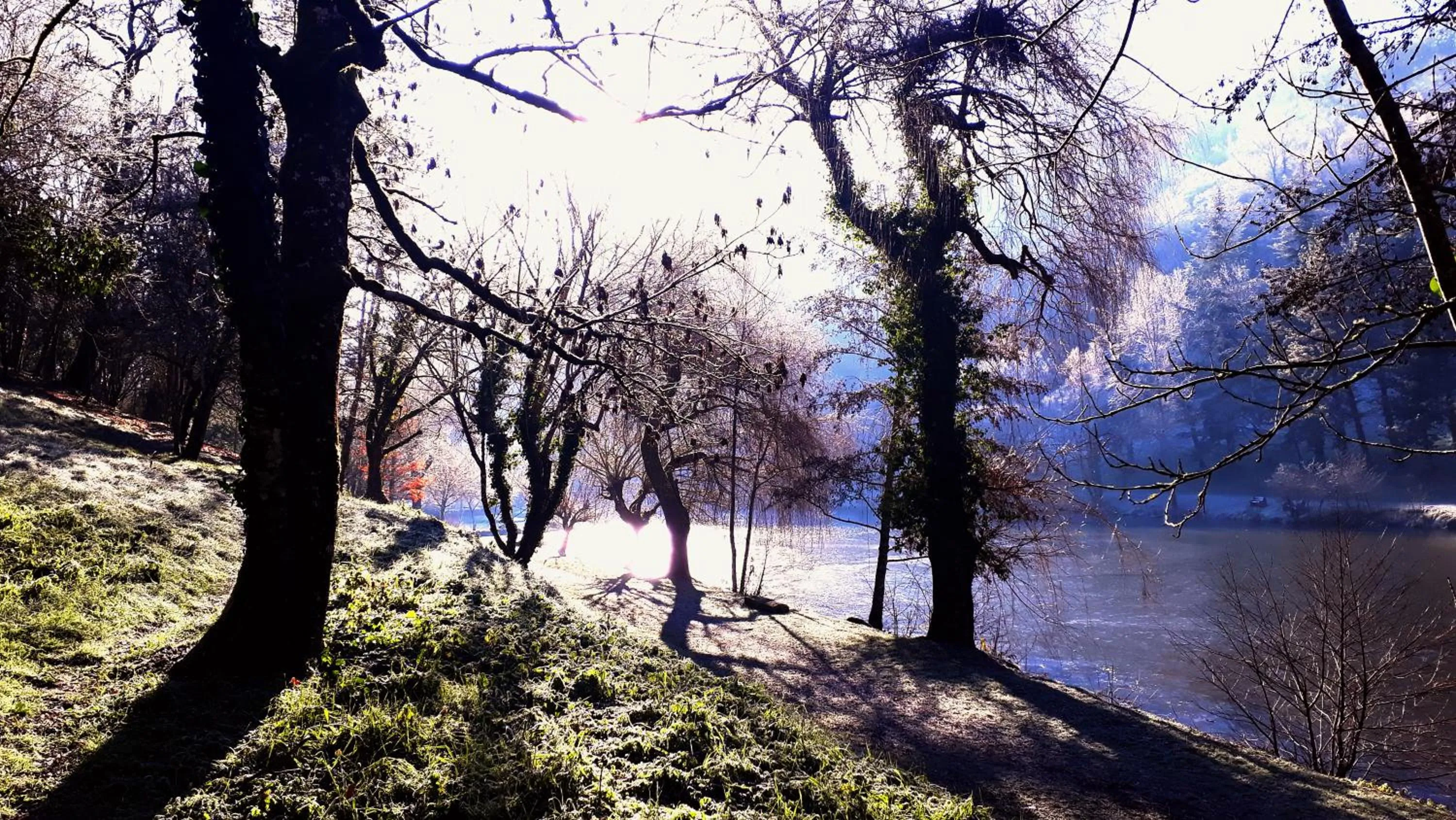 Le Petit Coin de Charme