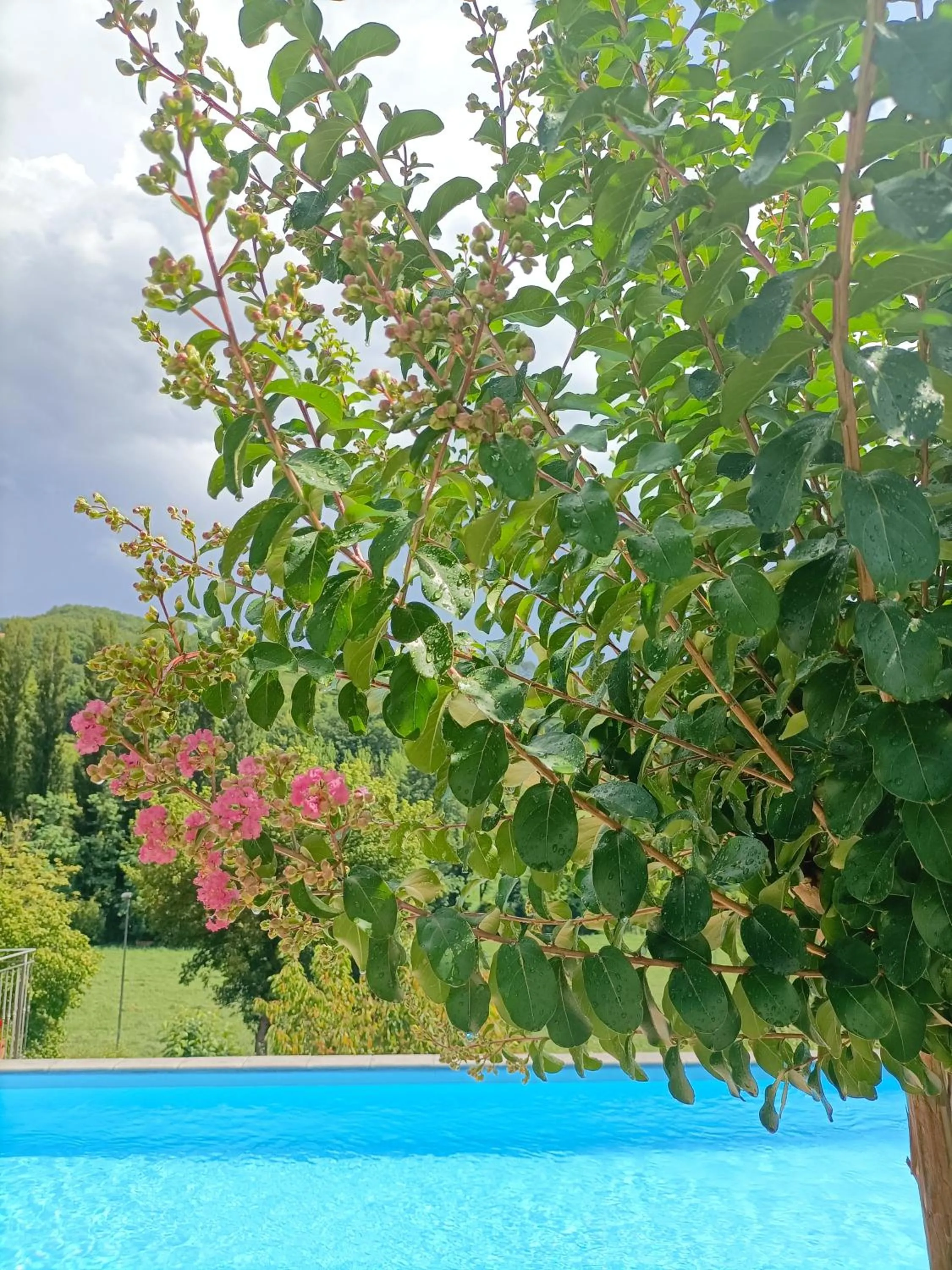 B&B VILLA GINEVRA