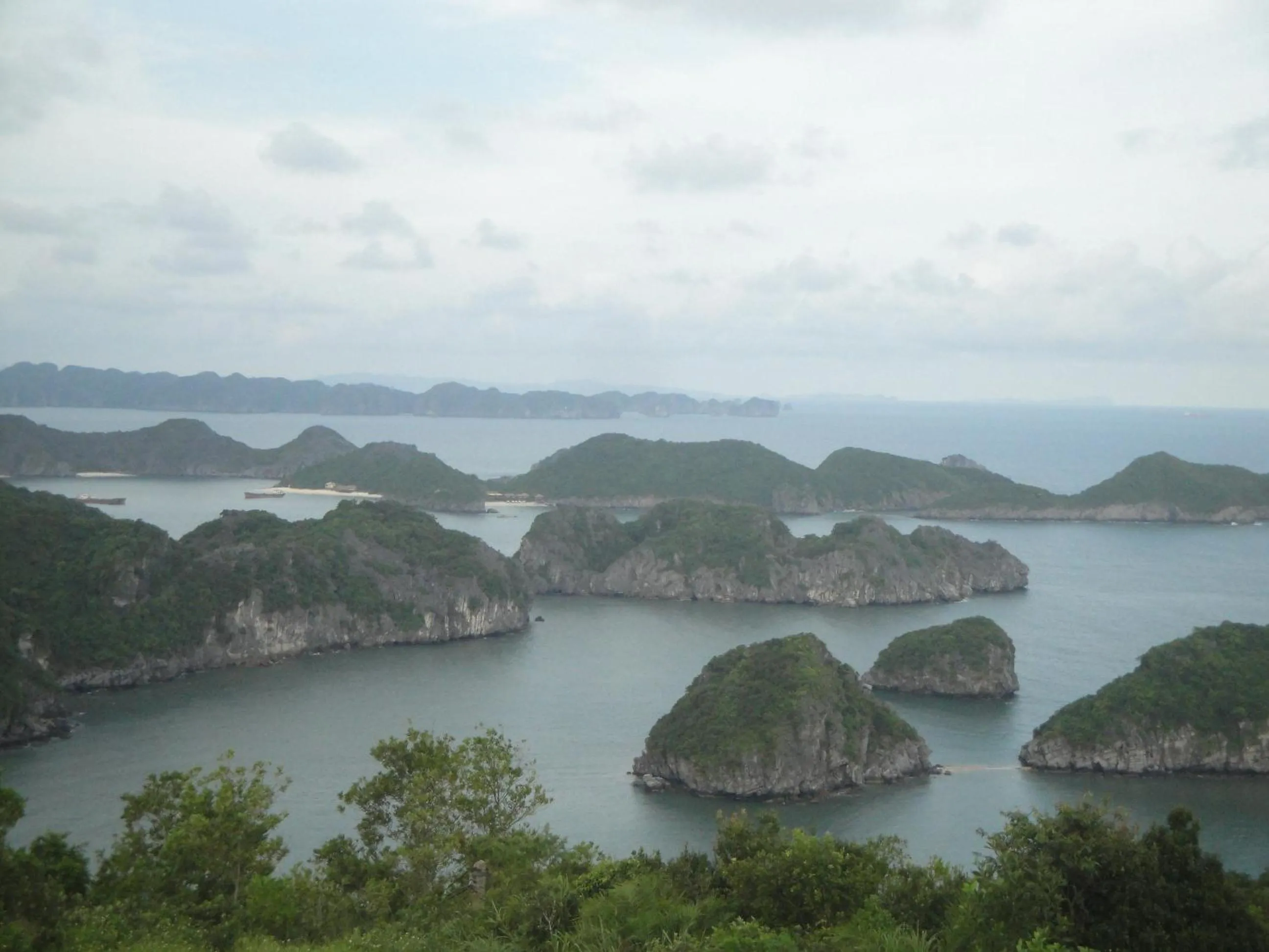 View (from property/room) in Phuong Mai Family Hotel