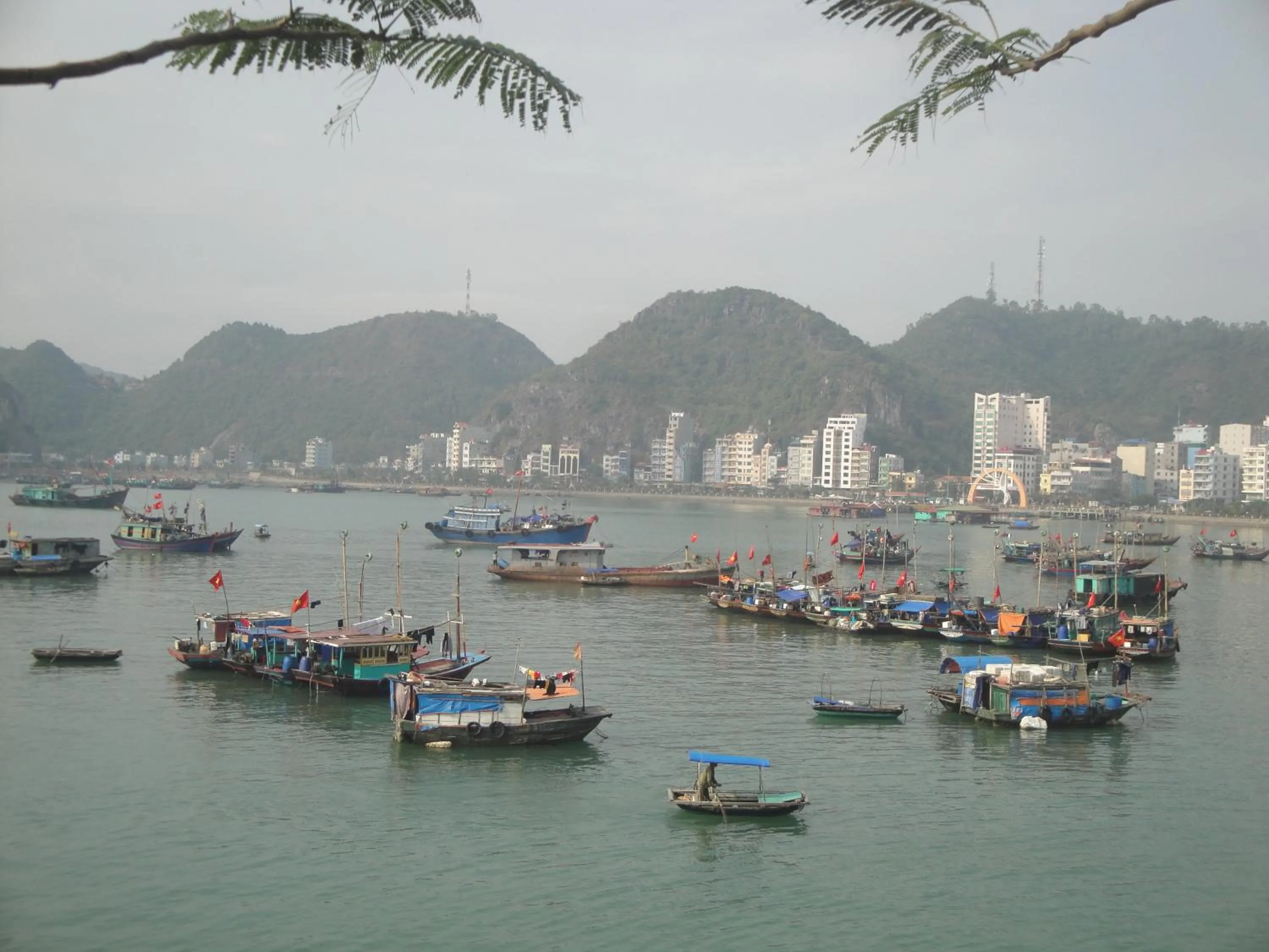 View (from property/room) in Phuong Mai Family Hotel