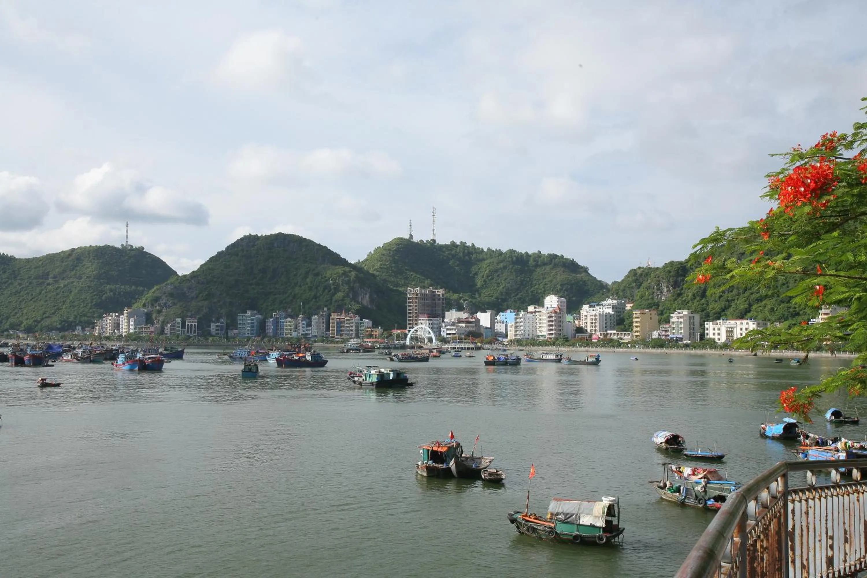 View (from property/room) in Phuong Mai Family Hotel