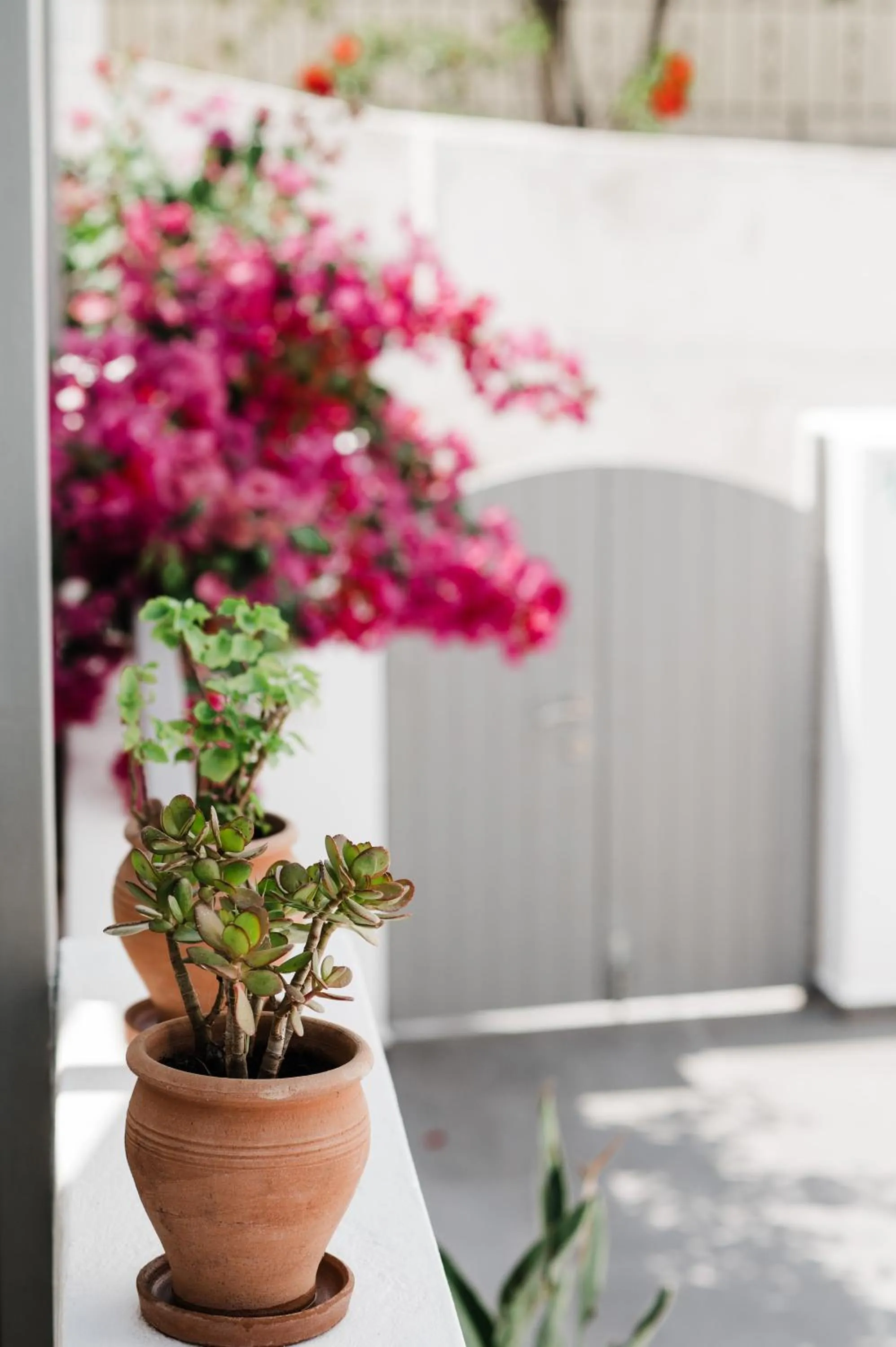 Property building in Amphitrite Suites Santorini