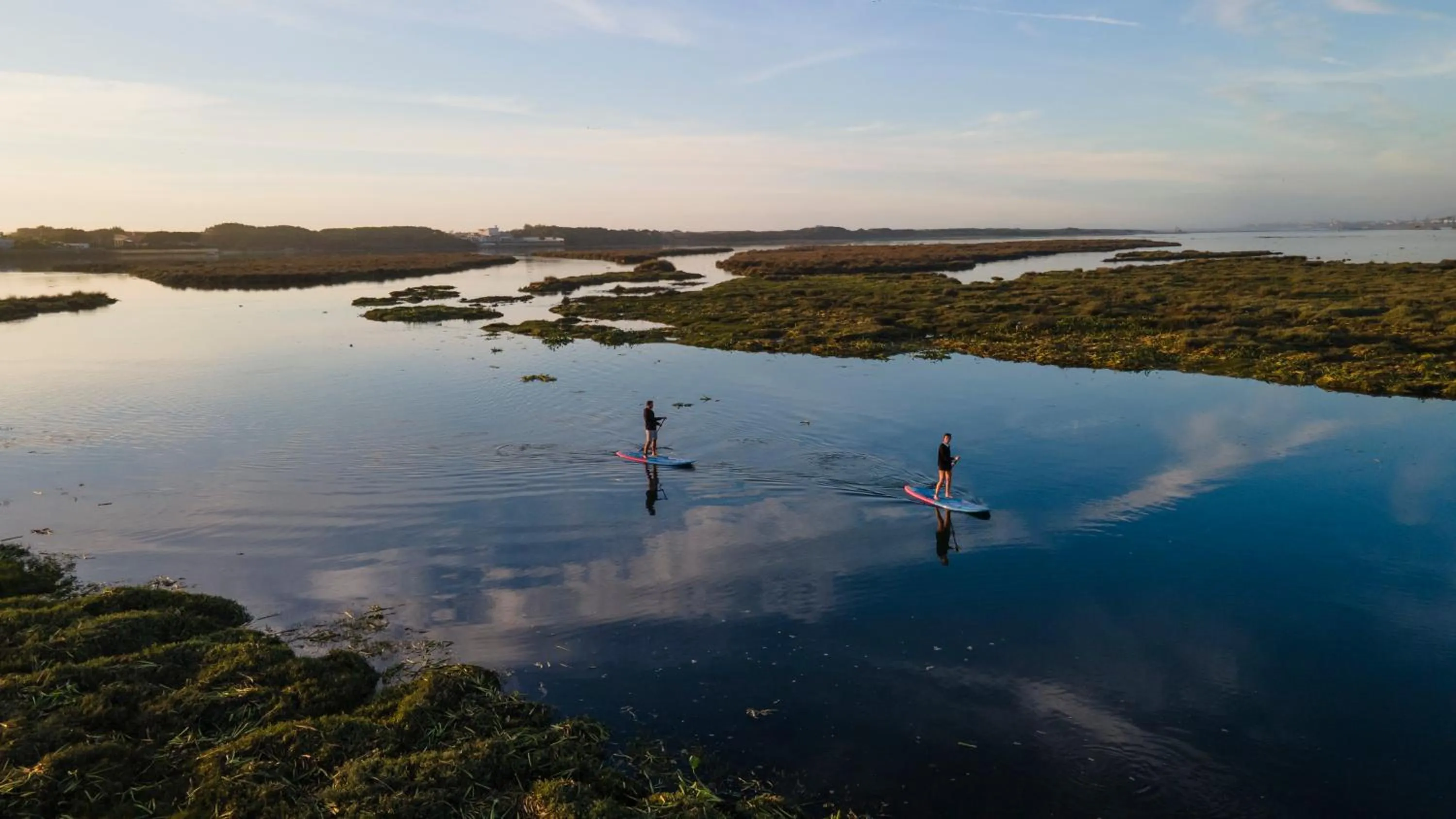 Activities in Sense of Ofir