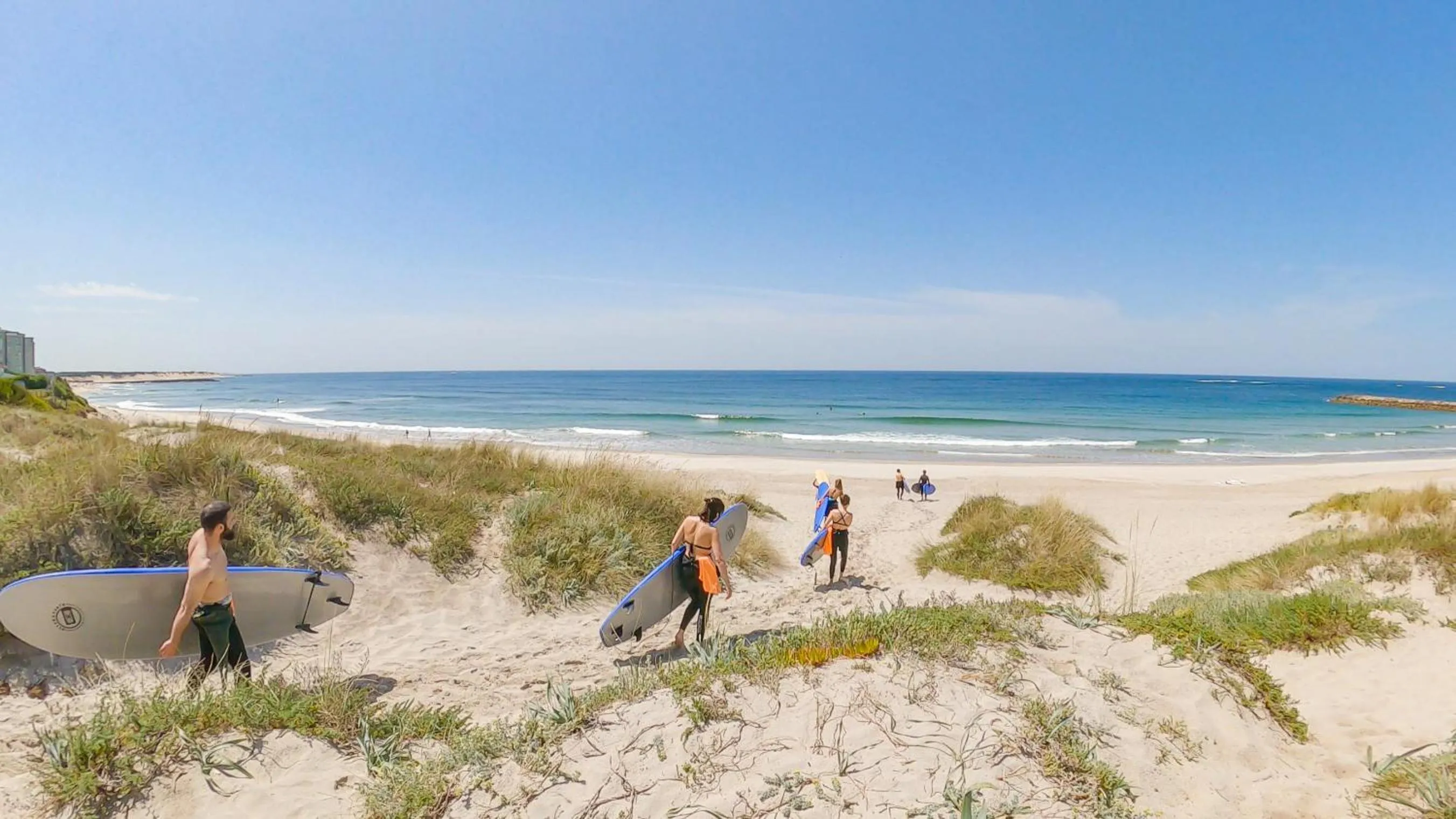 Activities in Sense of Ofir