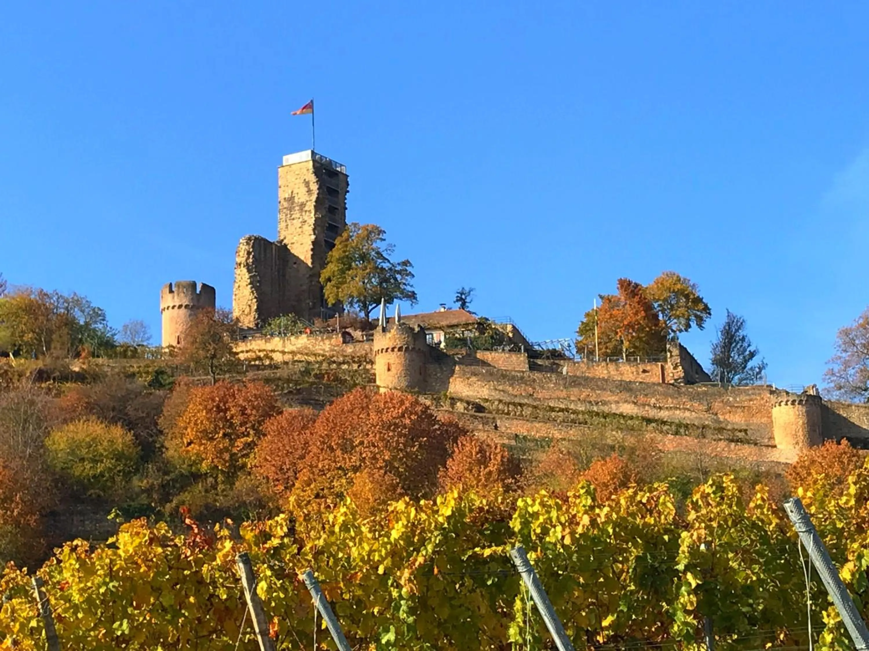 Landmark view in MAXX by Steigenberger Deidesheim