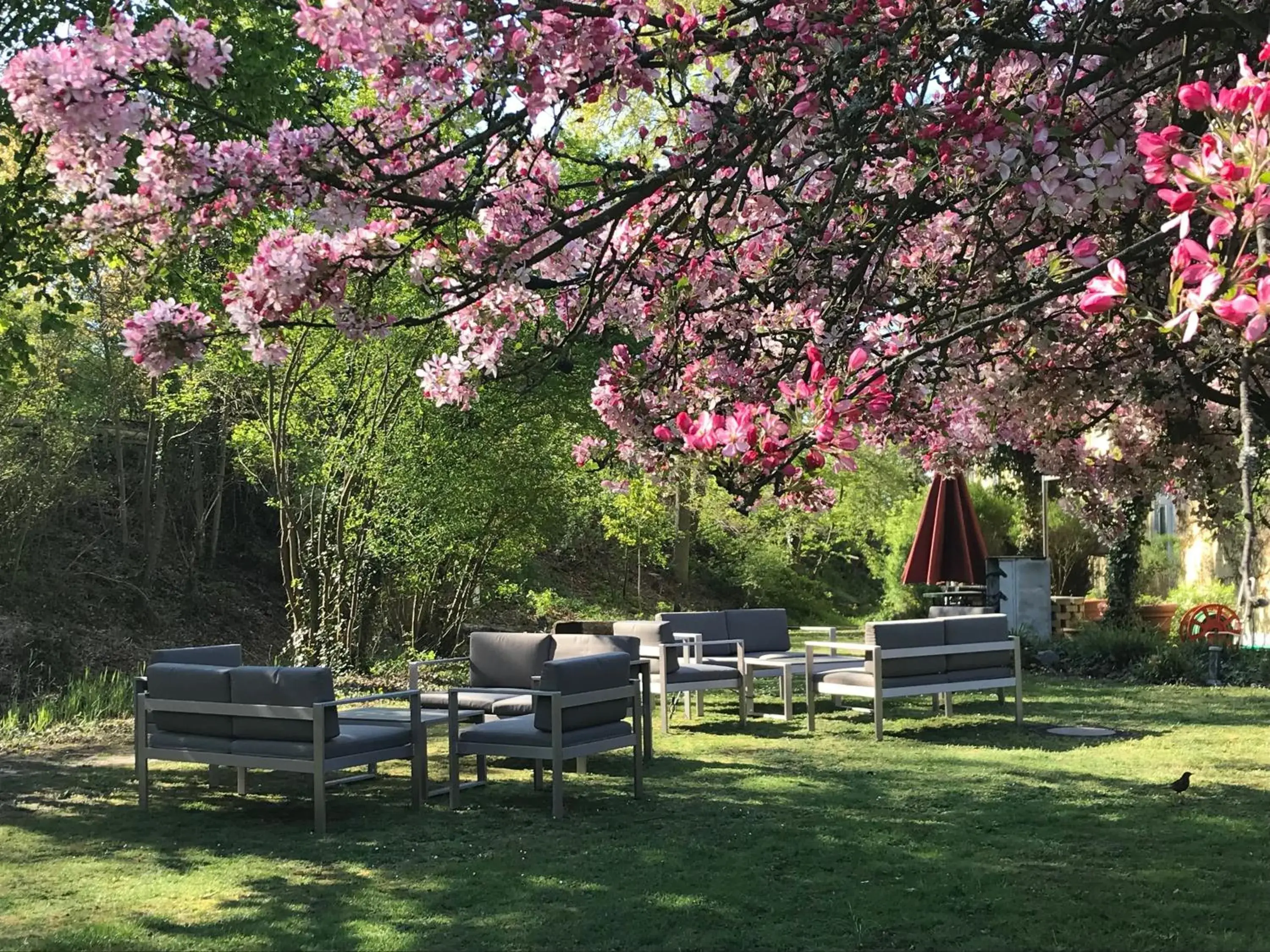 Garden view in MAXX by Steigenberger Deidesheim Garden view in MAXX by Steigenberger Deidesheim