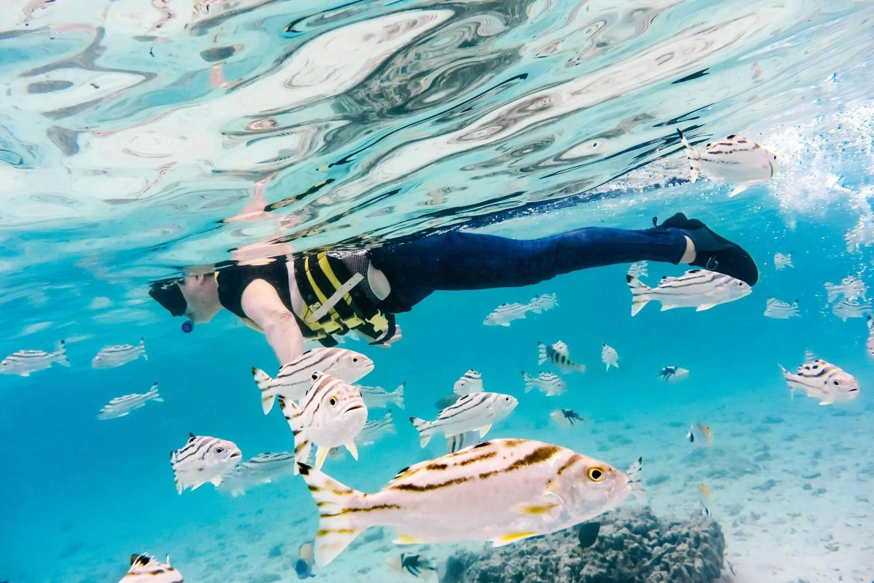 Other in Comfort Hotel Naha Prefectural Office