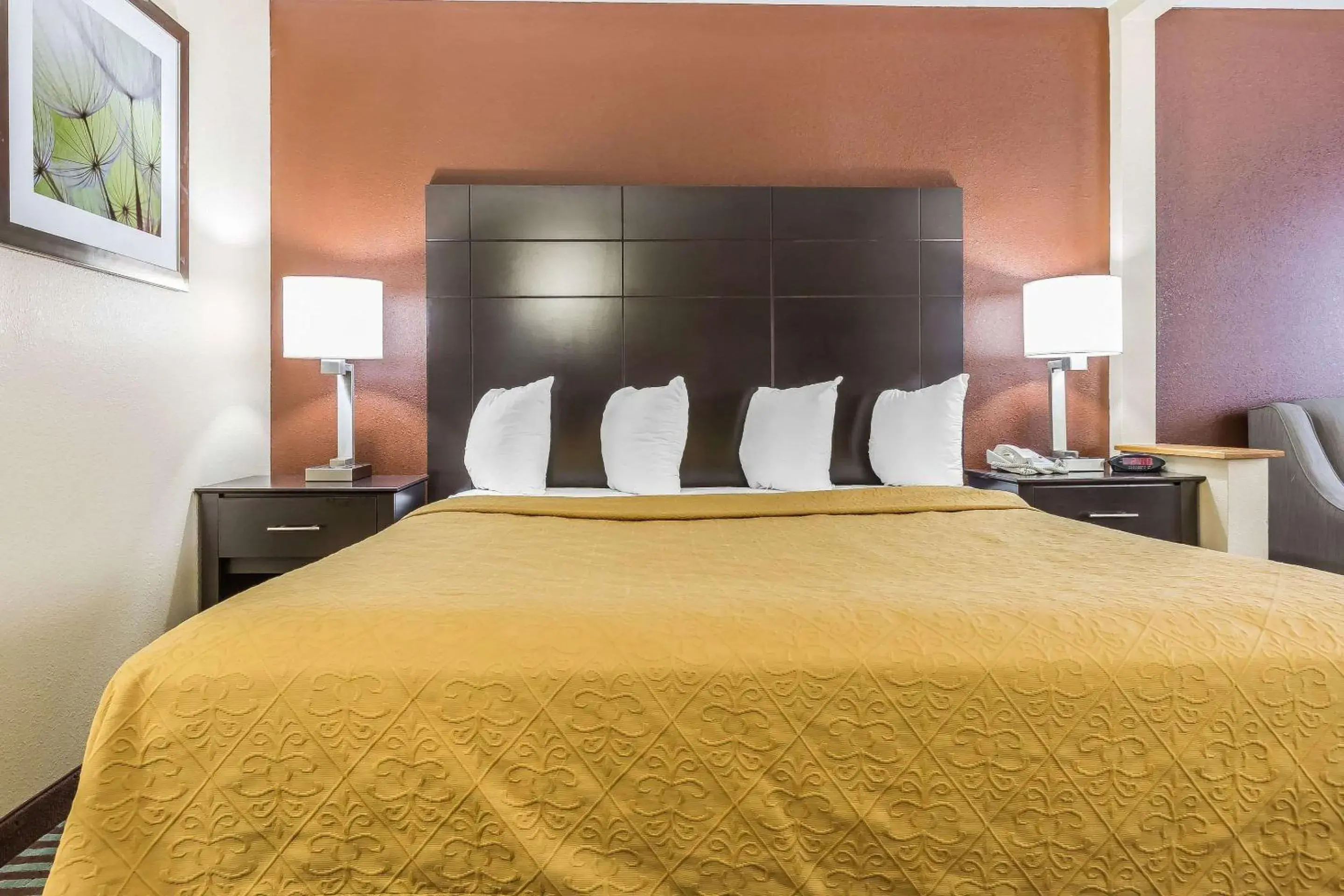 King Room - Non-Smoking in Quality Inn Mount Vernon, IL King Room - Non-Smoking in Quality Inn Mount Vernon, IL