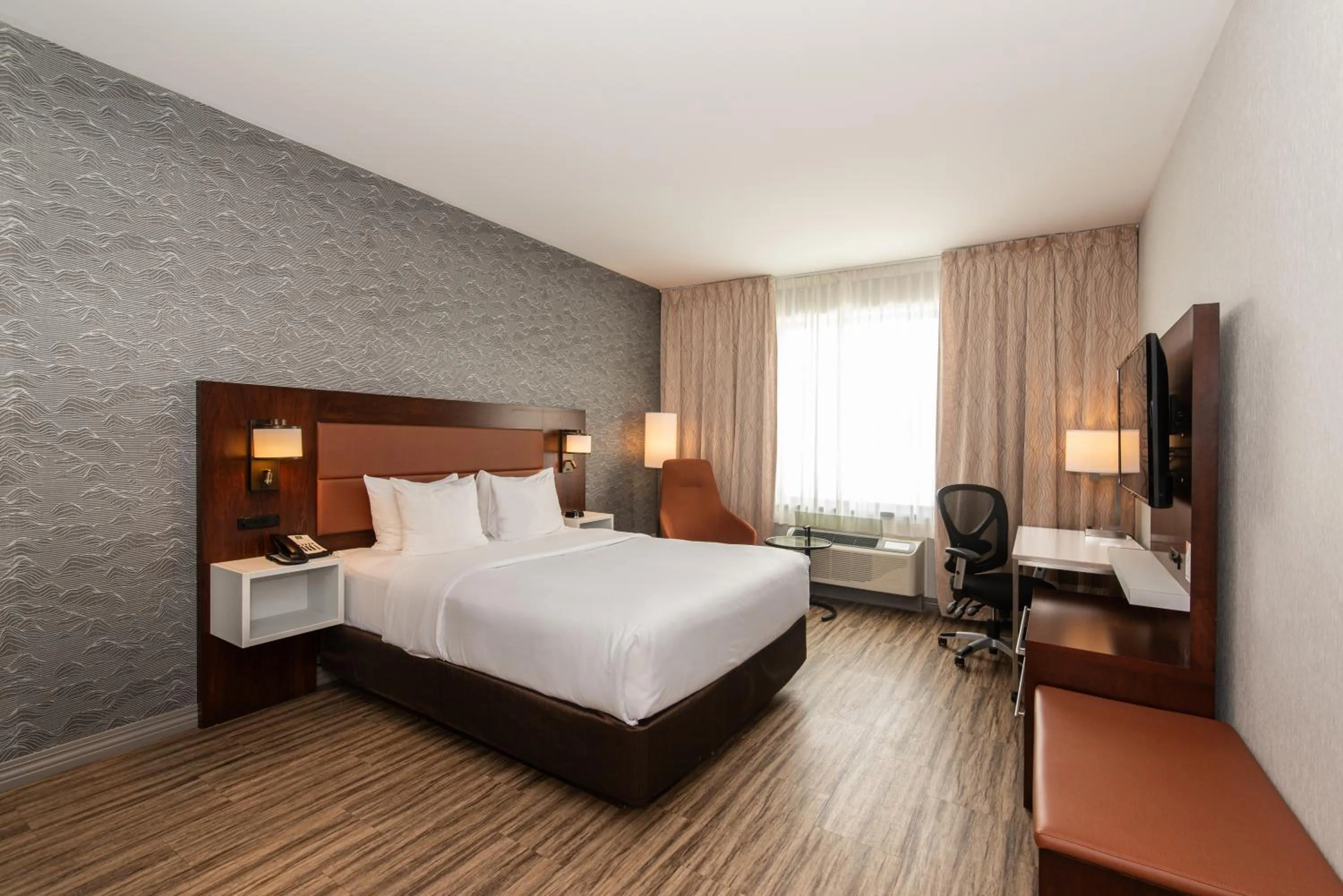 Photo of the whole room, Bed in Quality Inn & Suites