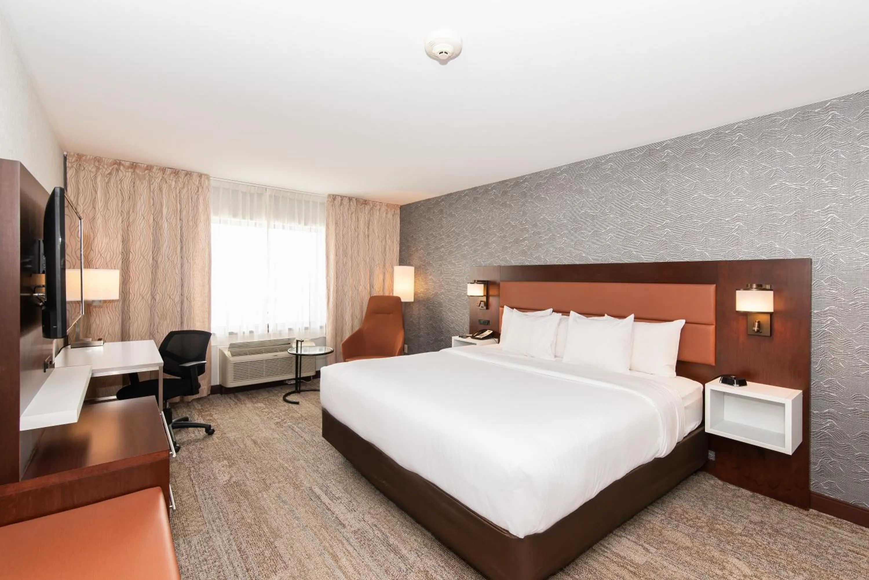 Photo of the whole room, Bed in Quality Inn & Suites