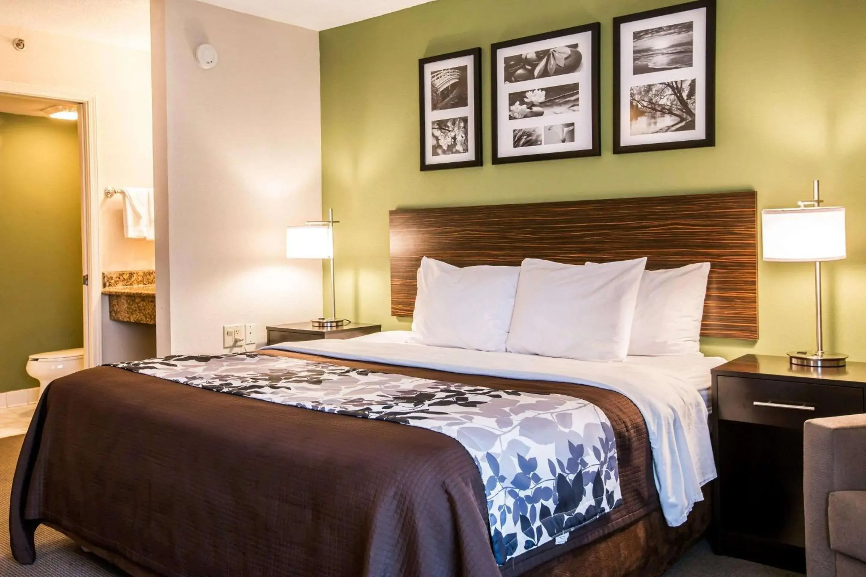 Photo of the whole room, Bed in Sleep Inn Douglasville near Arbor Place Photo of the whole room, Bed in Sleep Inn Douglasville near Arbor Place