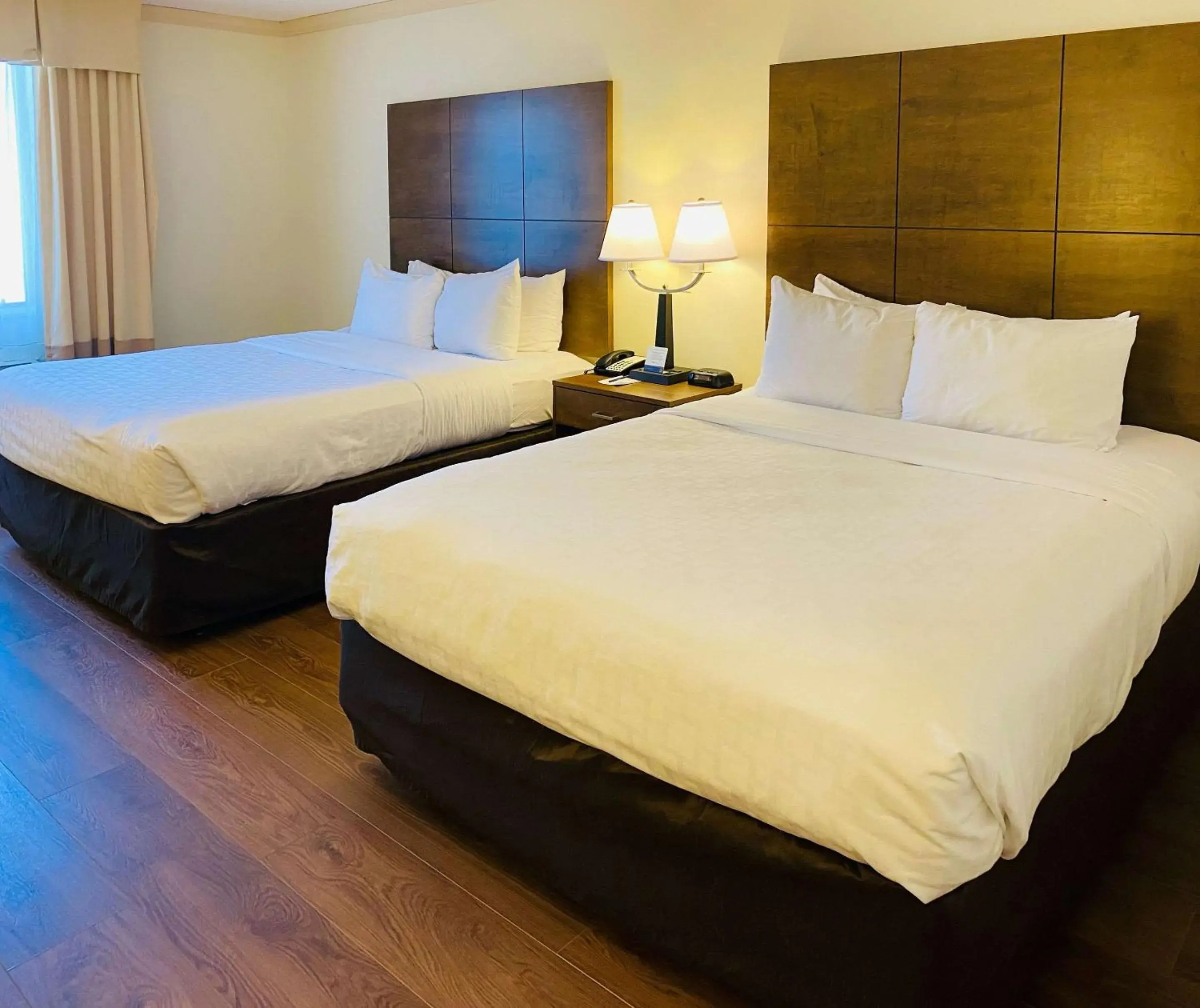 Photo of the whole room, Bed in Clarion Hotel & Conference Center Toms River Photo of the whole room, Bed in Clarion Hotel & Conference Center Toms River