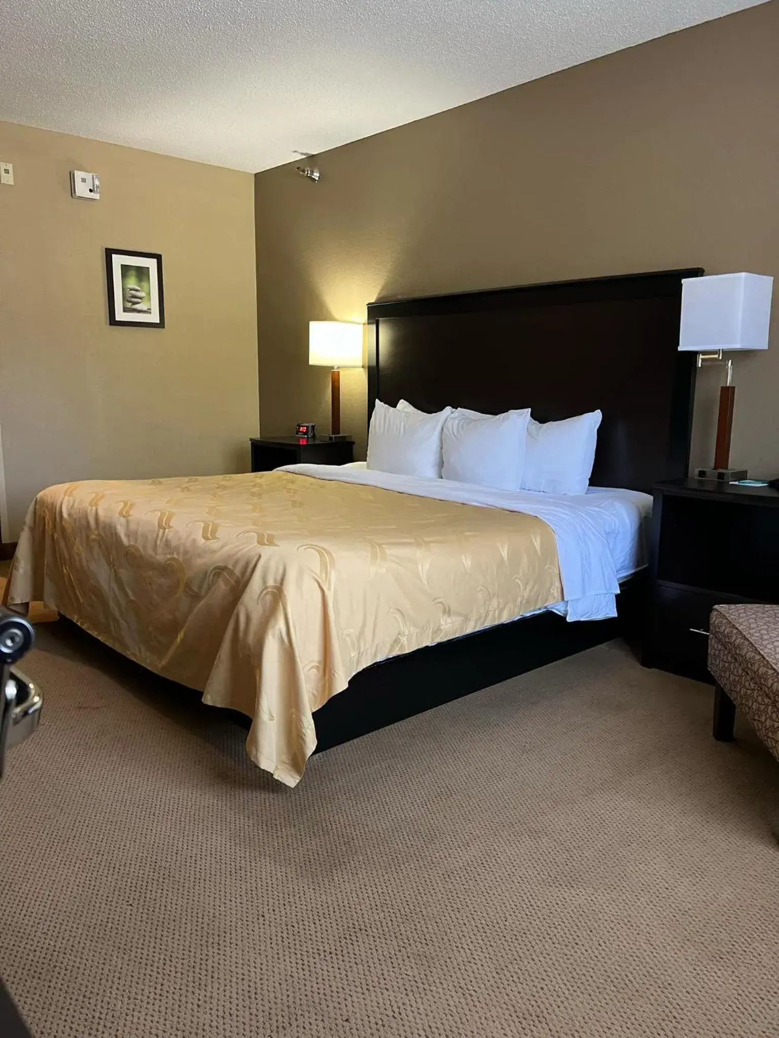 Bedroom, Bed in Quality Inn Bedroom, Bed in Quality Inn