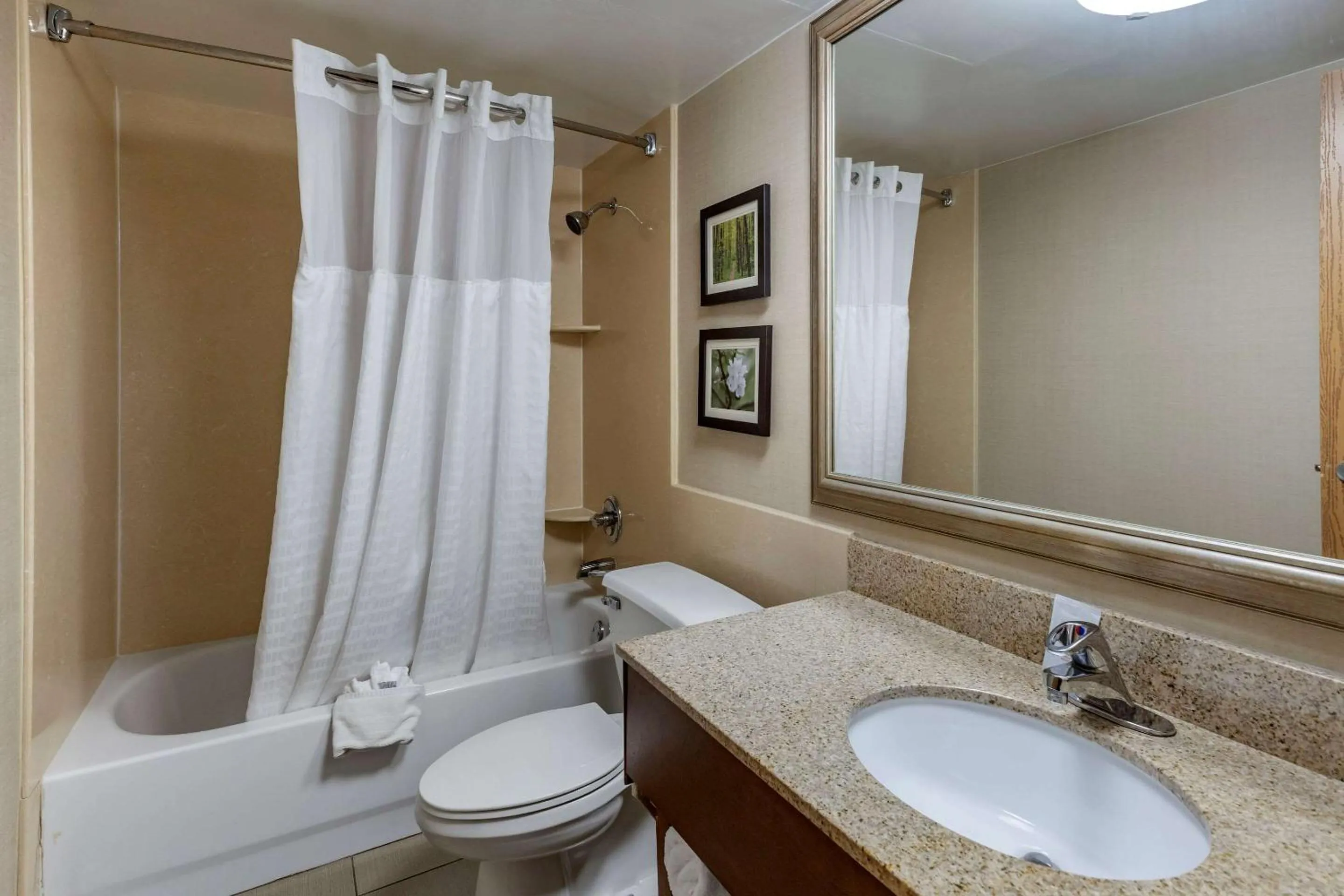 Bathroom in Comfort Inn Lansing West