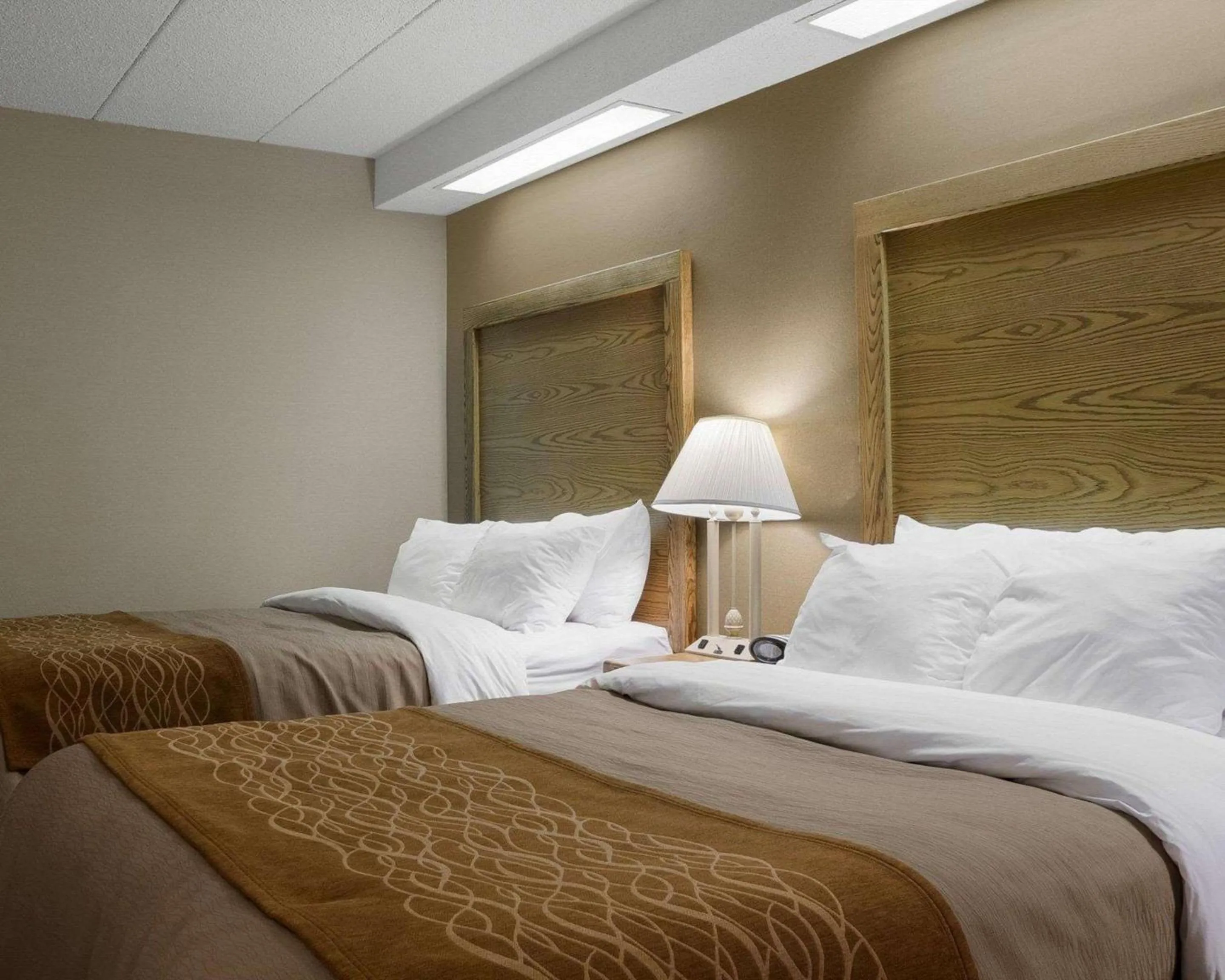 Photo of the whole room, Bed in Quality Inn Bismarck I-94