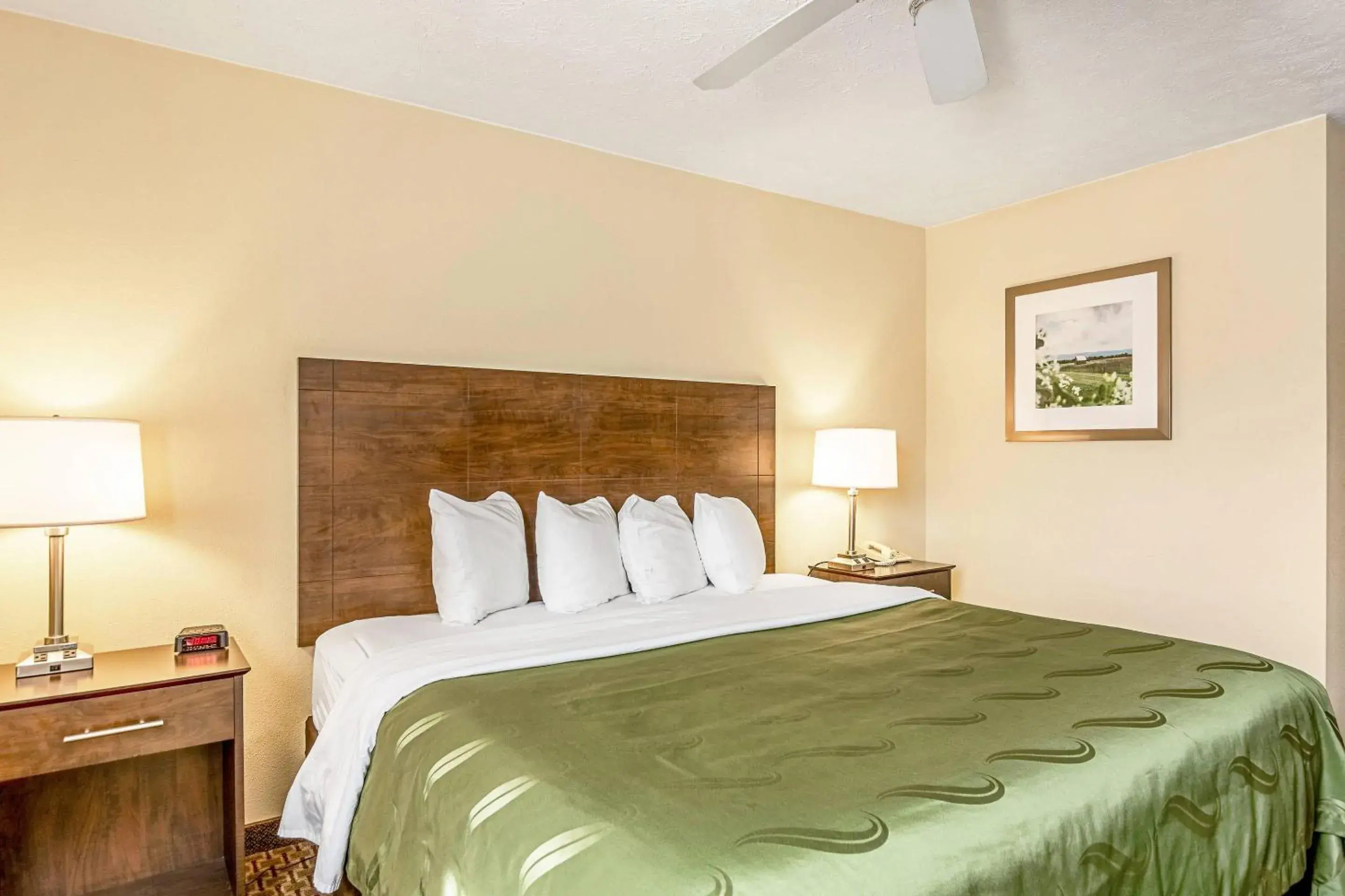 Bedroom, Bed in Quality Inn Burkeville Hwy 360 & 460 Bedroom, Bed in Quality Inn Burkeville Hwy 360 & 460