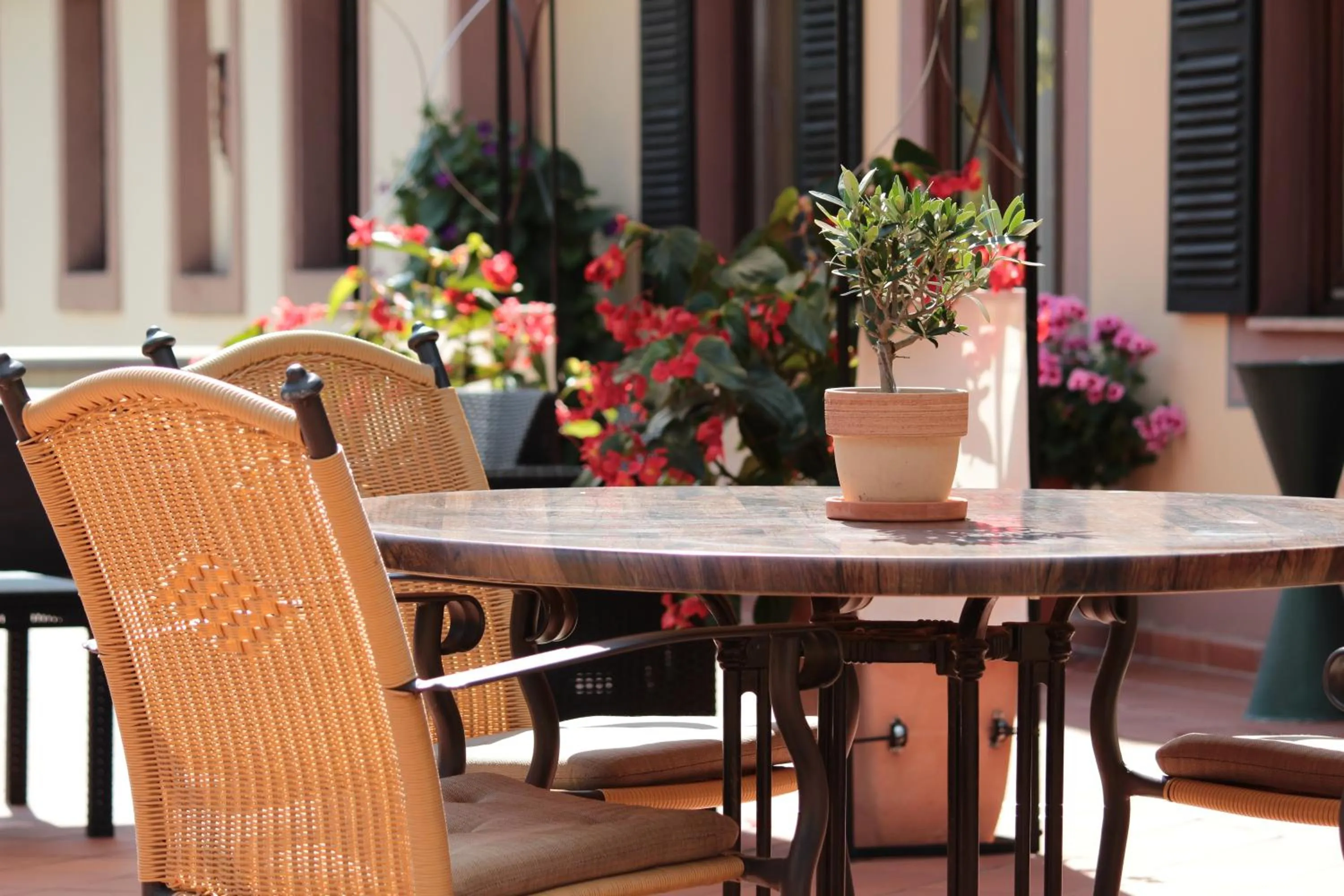 Seating area in Blesius Garten