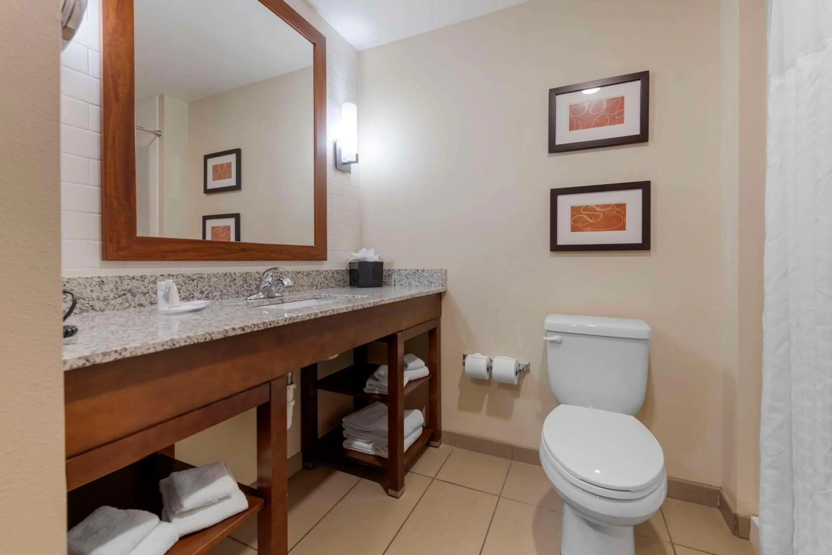 Bathroom in Comfort Suites & Conference Center Worthington