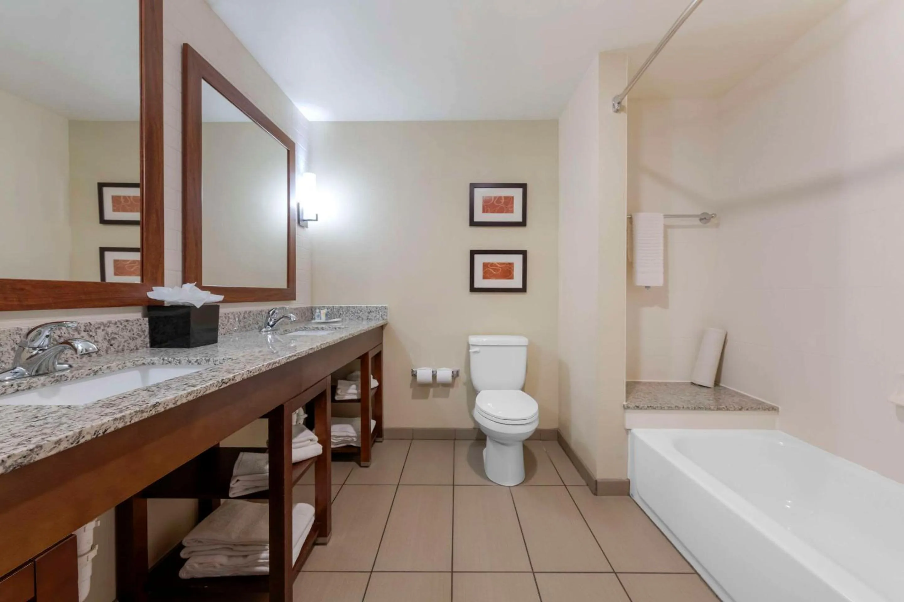 Bathroom in Comfort Suites & Conference Center