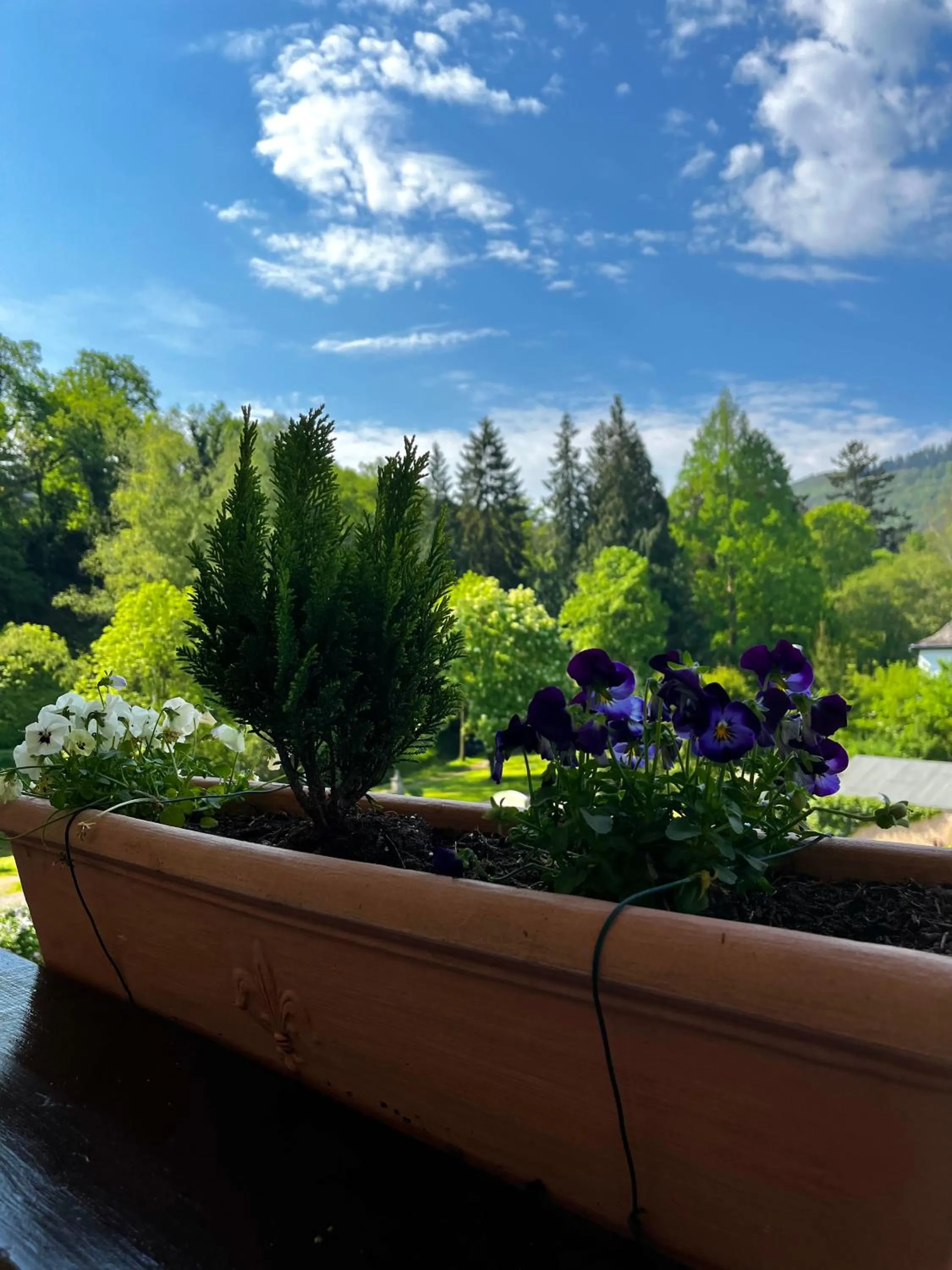 Natural landscape in PARK VILLA zentral am Mittelrhein Zimmer&Apartments Self check in Aparthotel