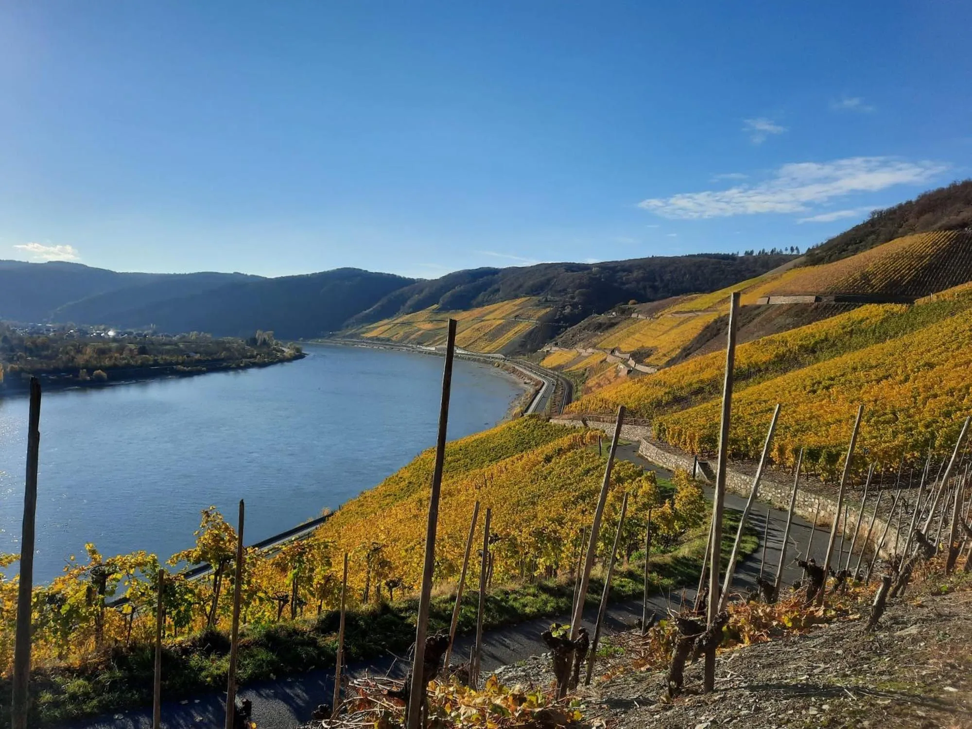 Staff in PARK VILLA zentral am Mittelrhein Zimmer&Apartments Self check in Aparthotel