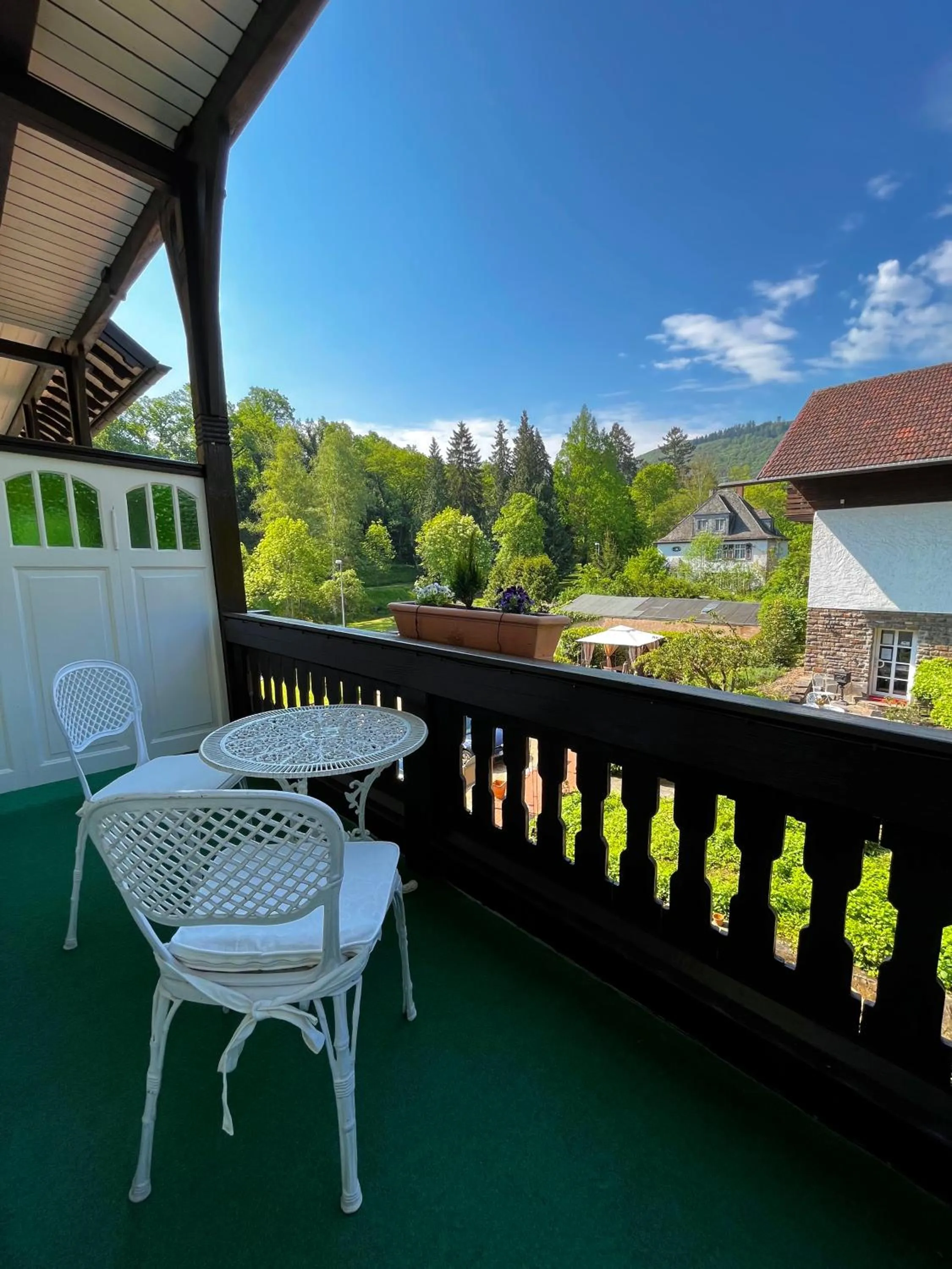 Natural landscape in PARK VILLA zentral am Mittelrhein Zimmer&Apartments Self check in Aparthotel