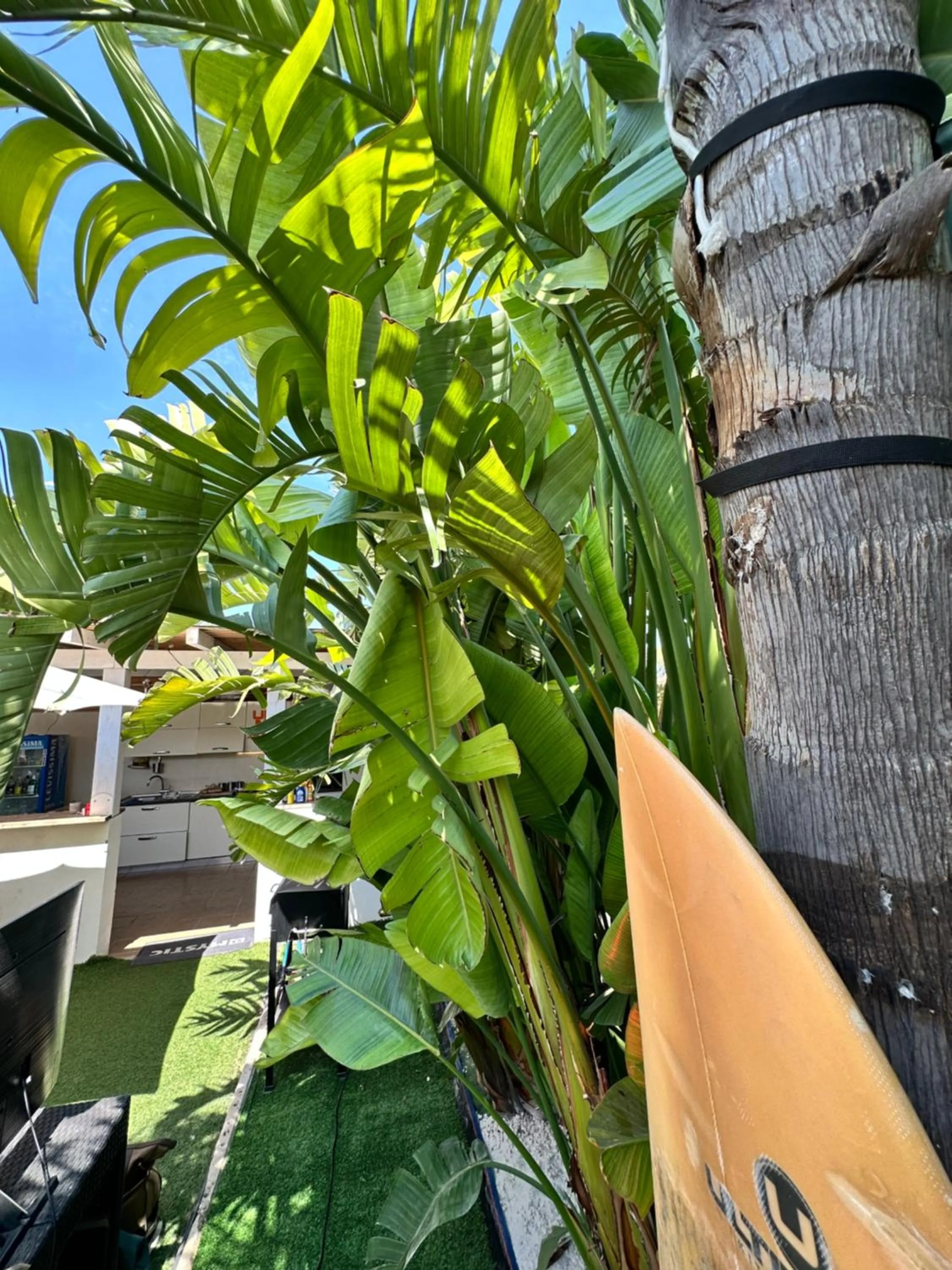 Garden in Sunset Wave - STAGNONE KITESURF VILLAGE