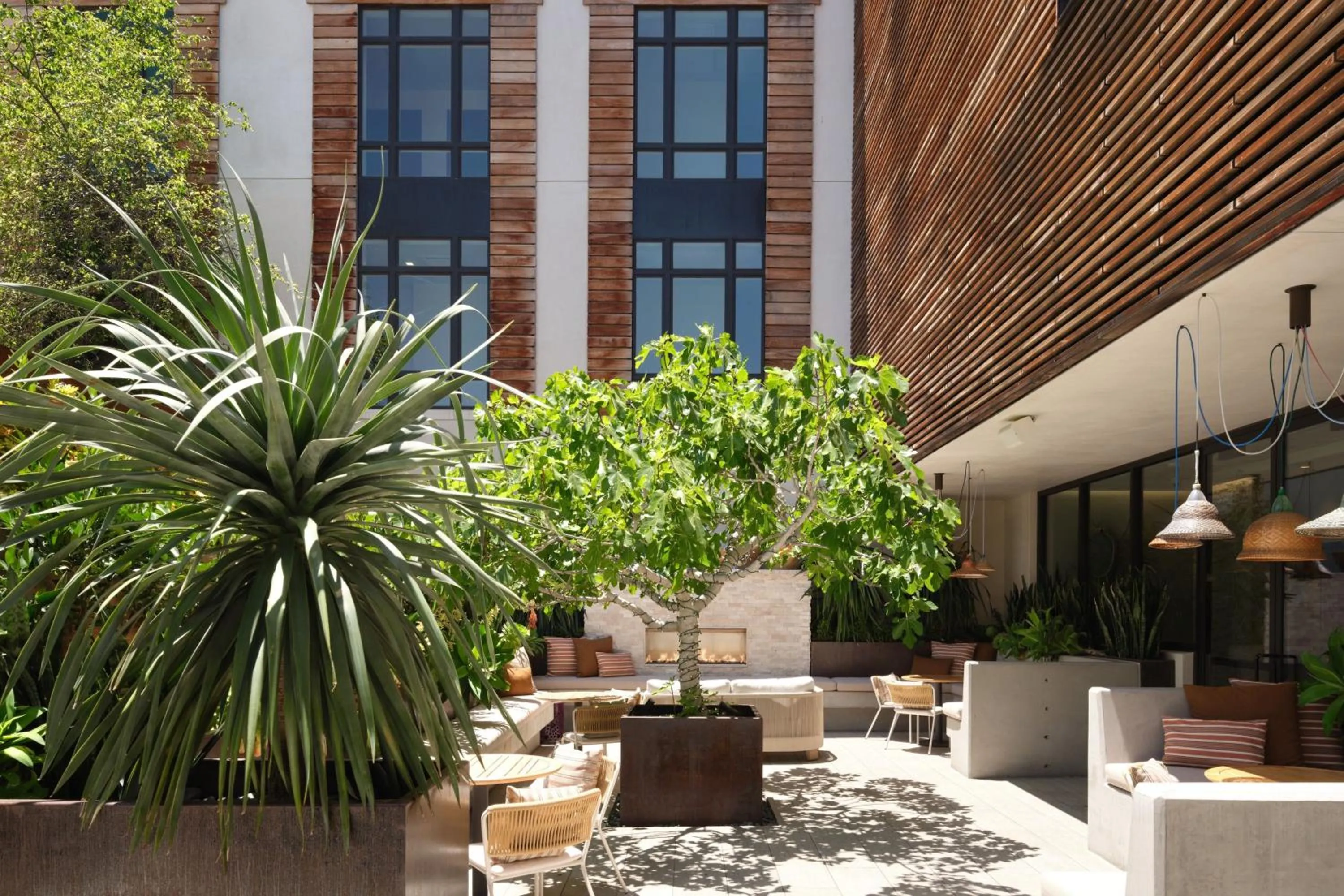 Other in HOTEL CERRO, Autograph Collection