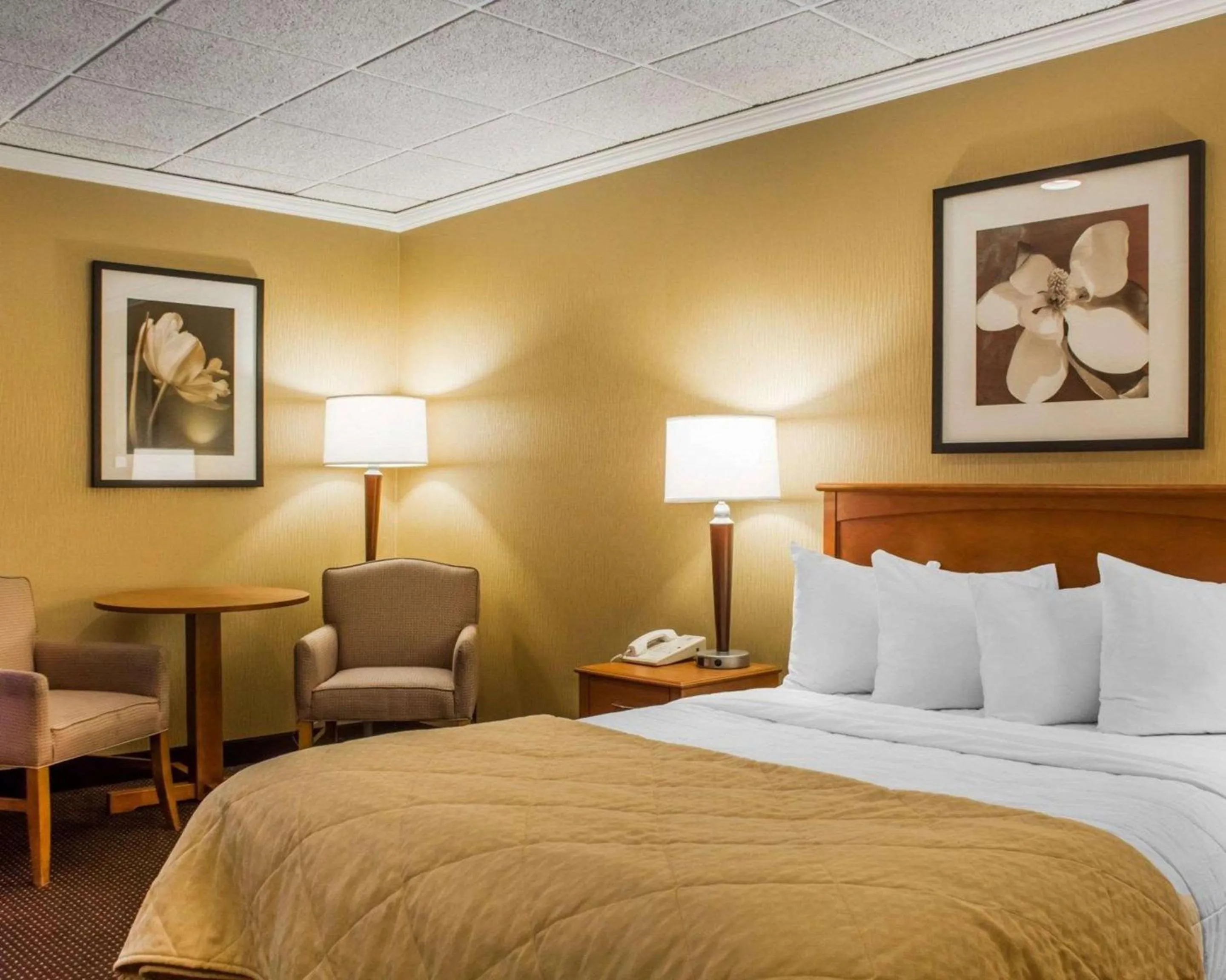 Photo of the whole room, Bed in Clarion Hotel & Suites Riverfront