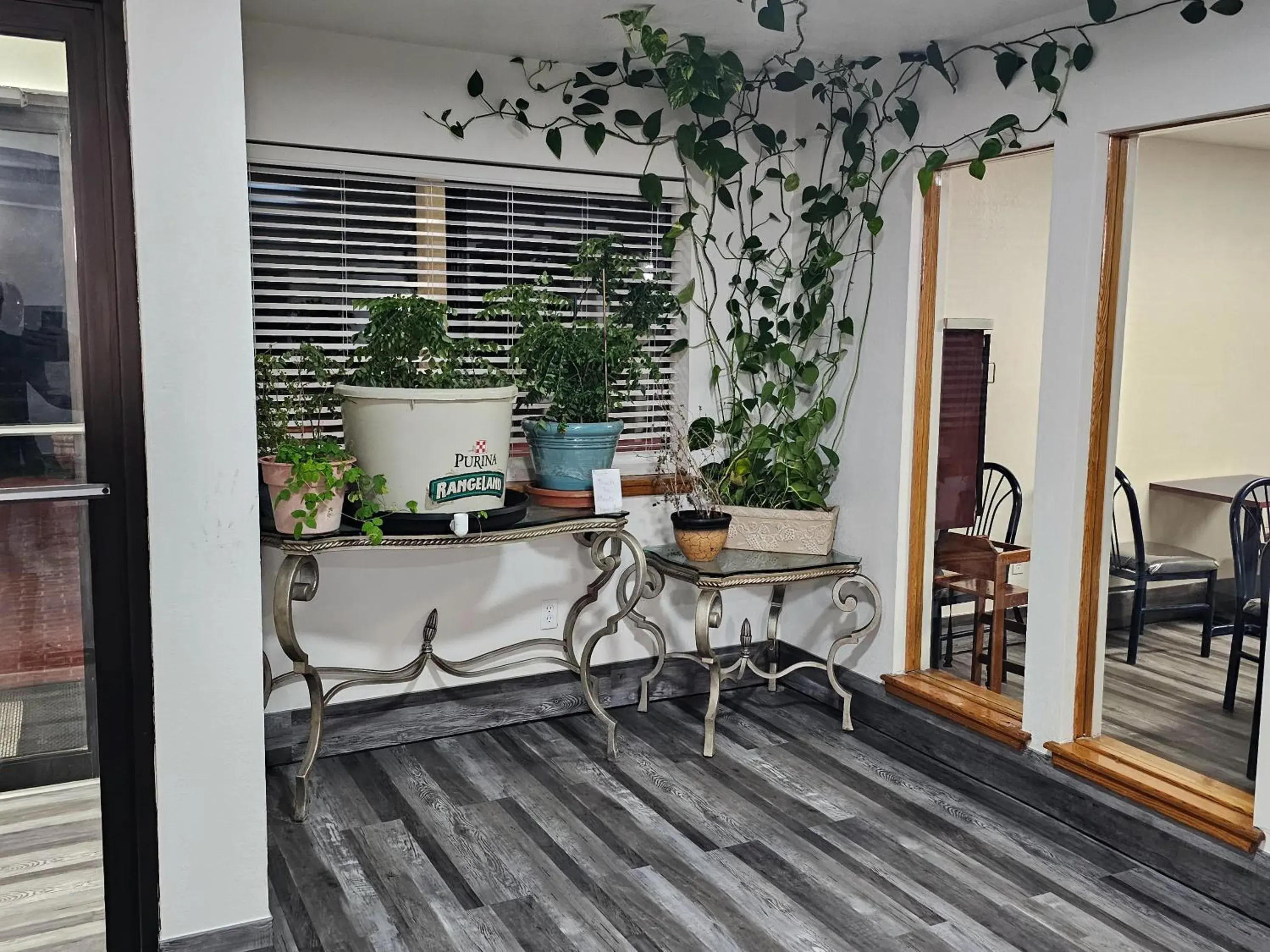 Lobby or reception in Rodeway Inn Tucumcari Lobby or reception in Rodeway Inn Tucumcari