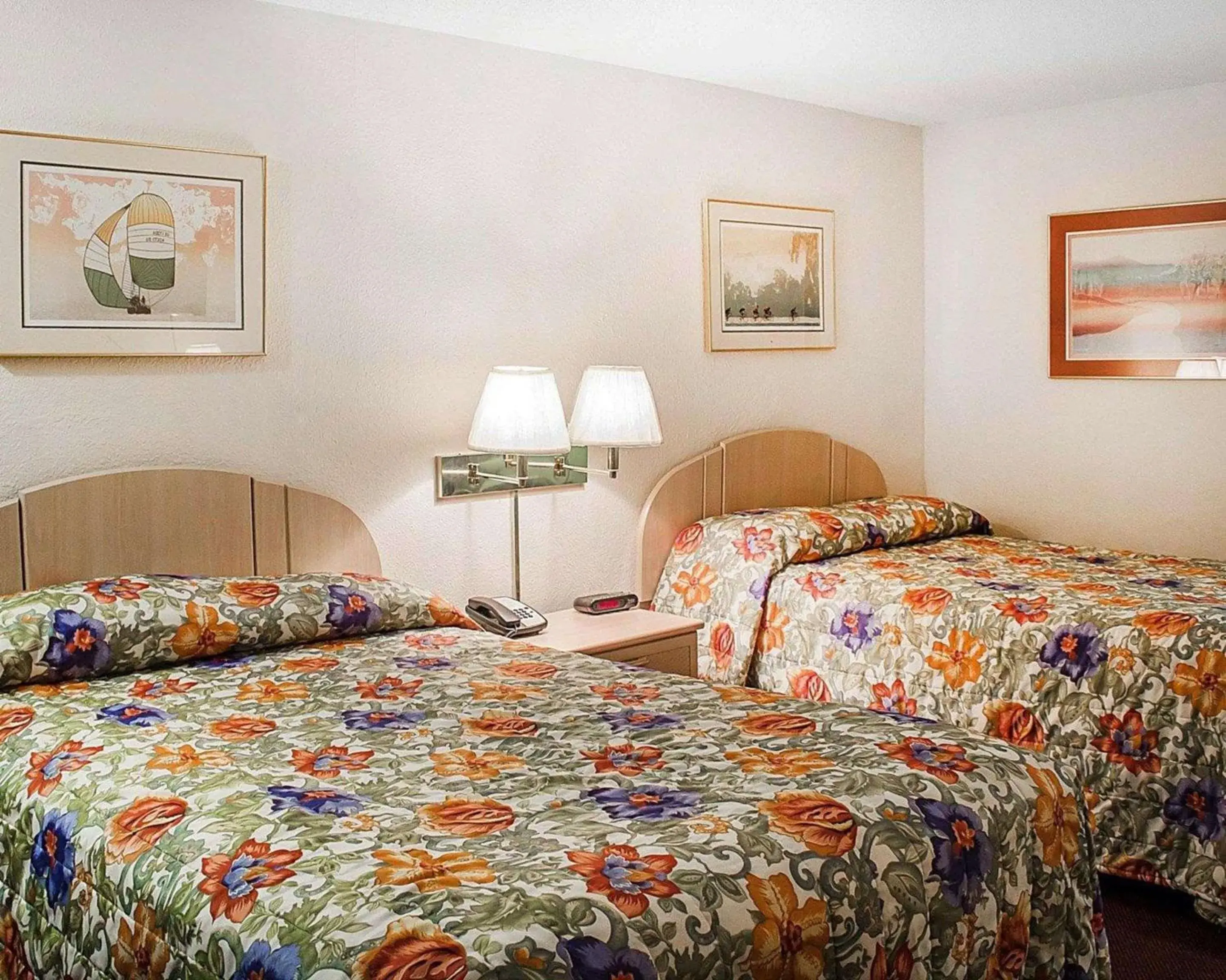 Photo of the whole room, Bed in Rodeway Inn Photo of the whole room, Bed in Rodeway Inn