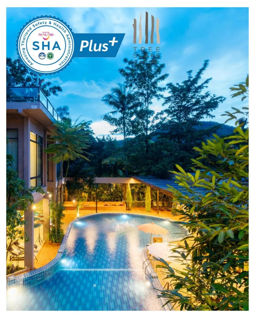 Swimming pool in Treescape Resort Chiangmai