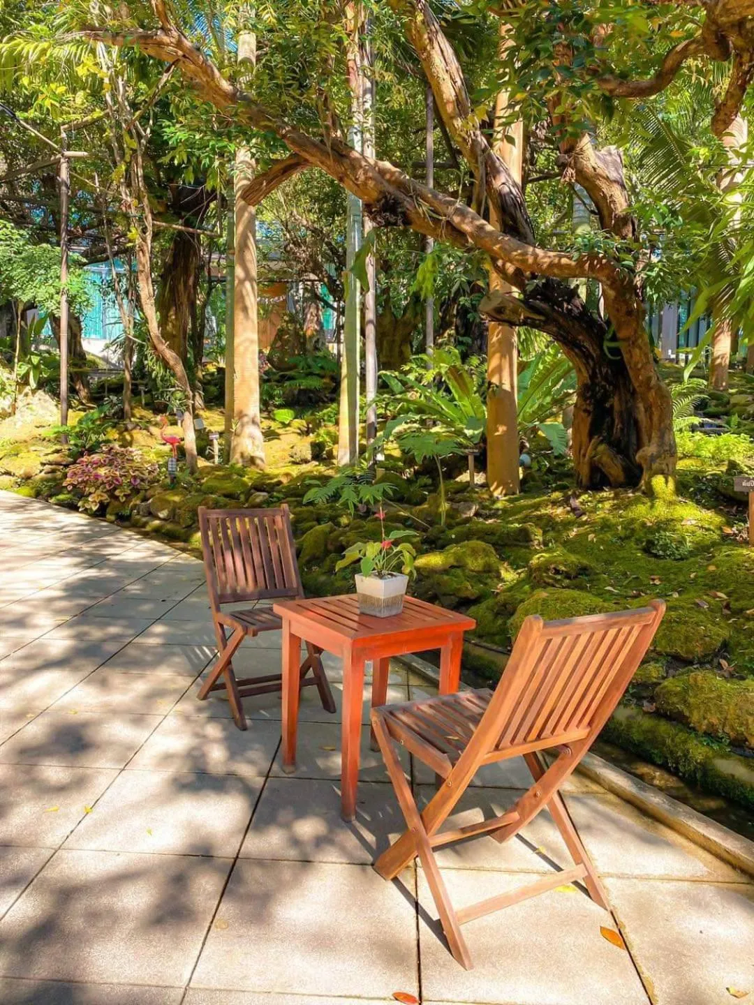 Treescape Resort Chiangmai