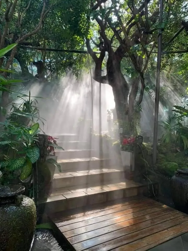 Treescape Resort Chiangmai