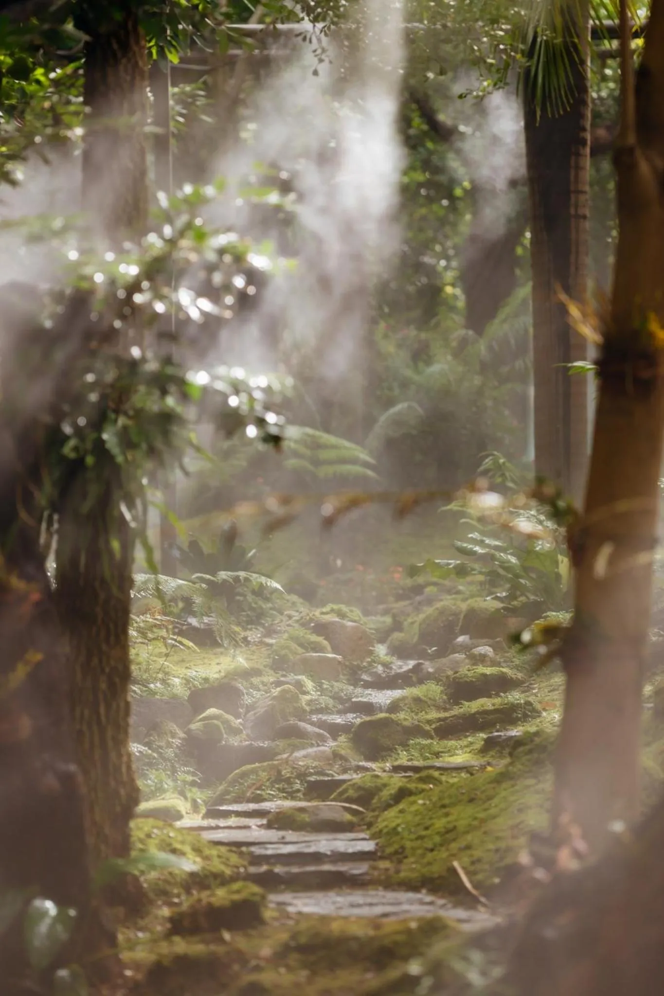 Treescape Resort Chiangmai