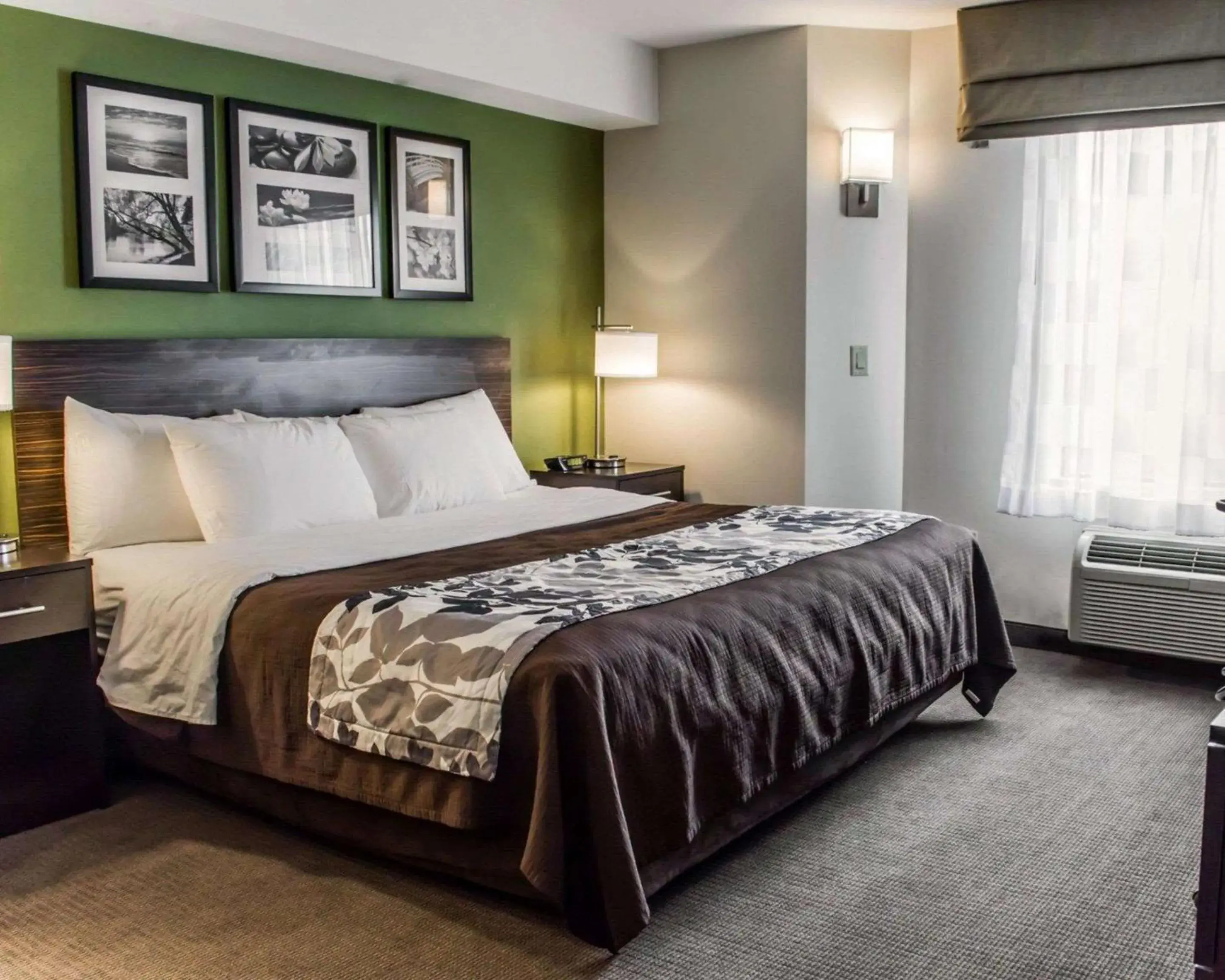 Photo of the whole room, Bed in Sleep Inn Richmond North Photo of the whole room, Bed in Sleep Inn Richmond North