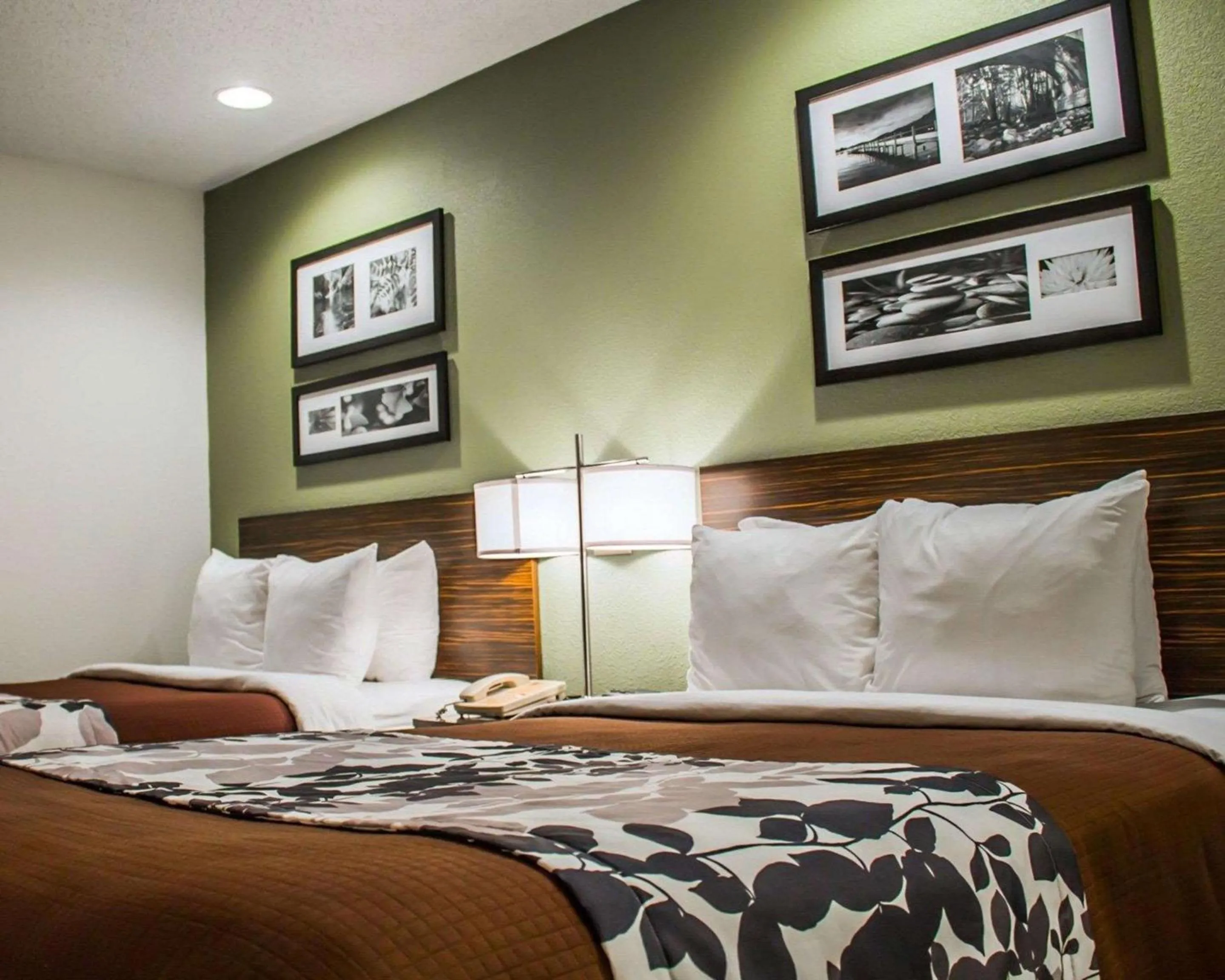 Photo of the whole room, Bed in Sleep Inn Summersville - New River Gorge Area