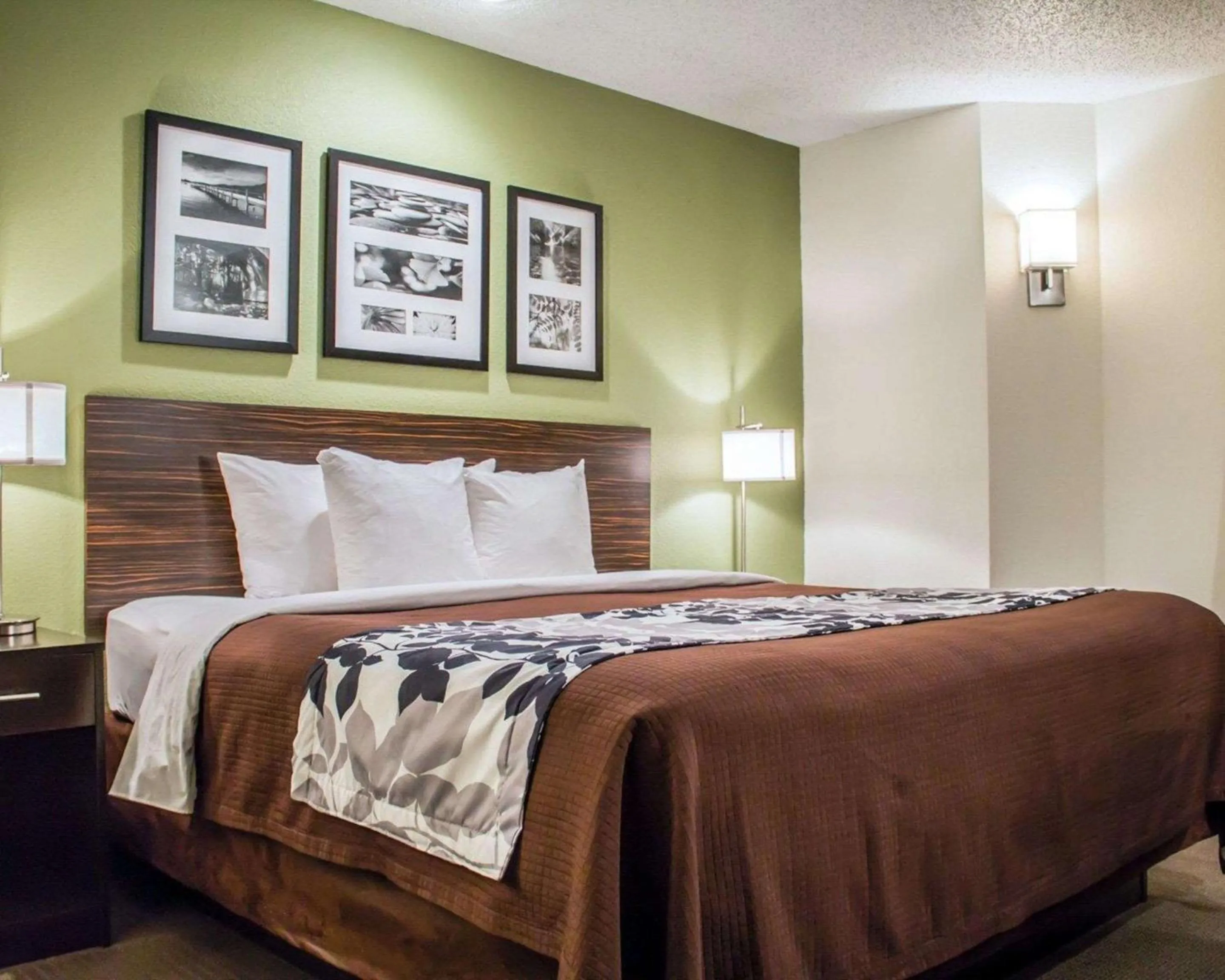 Photo of the whole room, Bed in Sleep Inn Summersville - New River Gorge Area