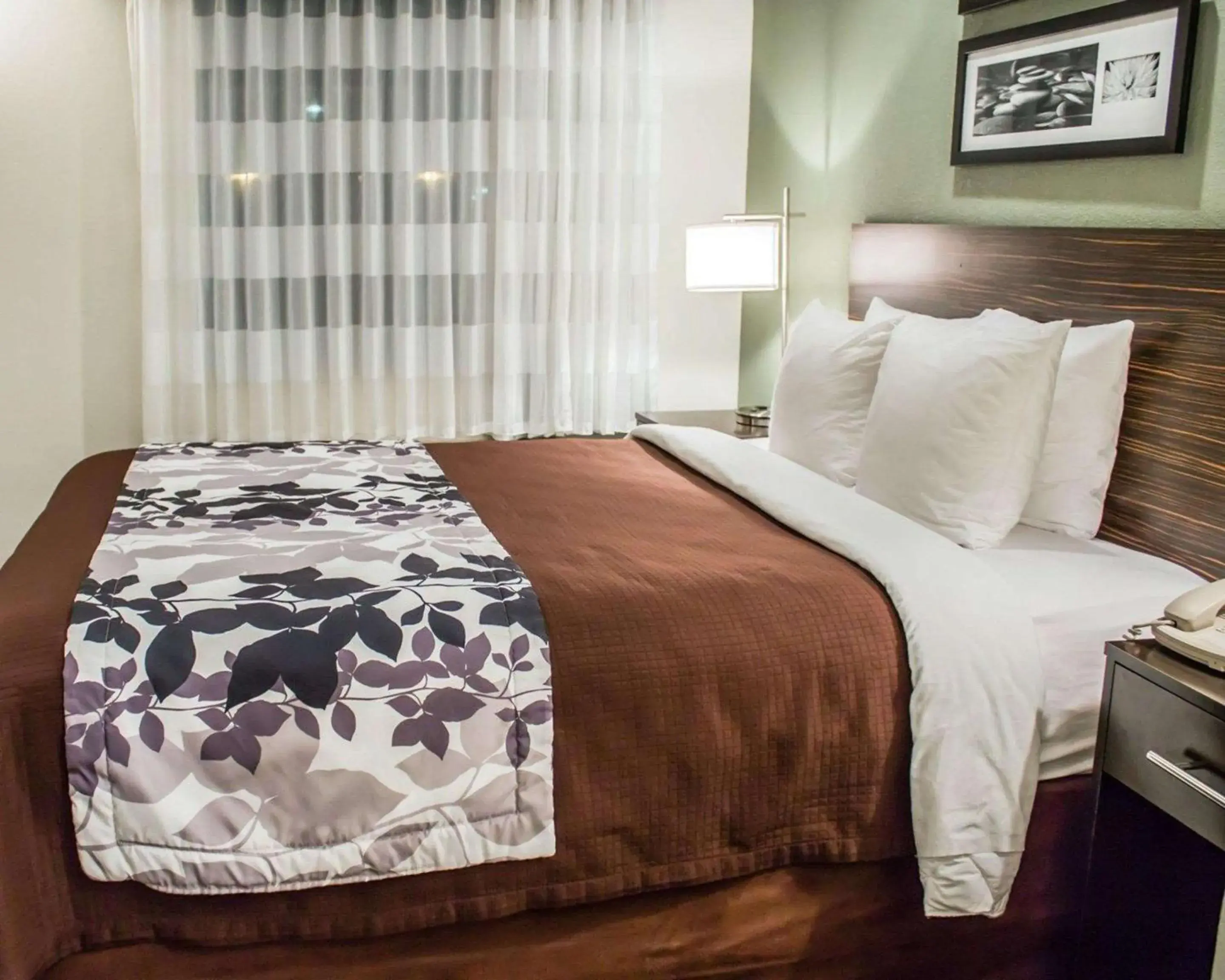 Photo of the whole room, Bed in Sleep Inn Summersville - New River Gorge Area Photo of the whole room, Bed in Sleep Inn Summersville - New River Gorge Area