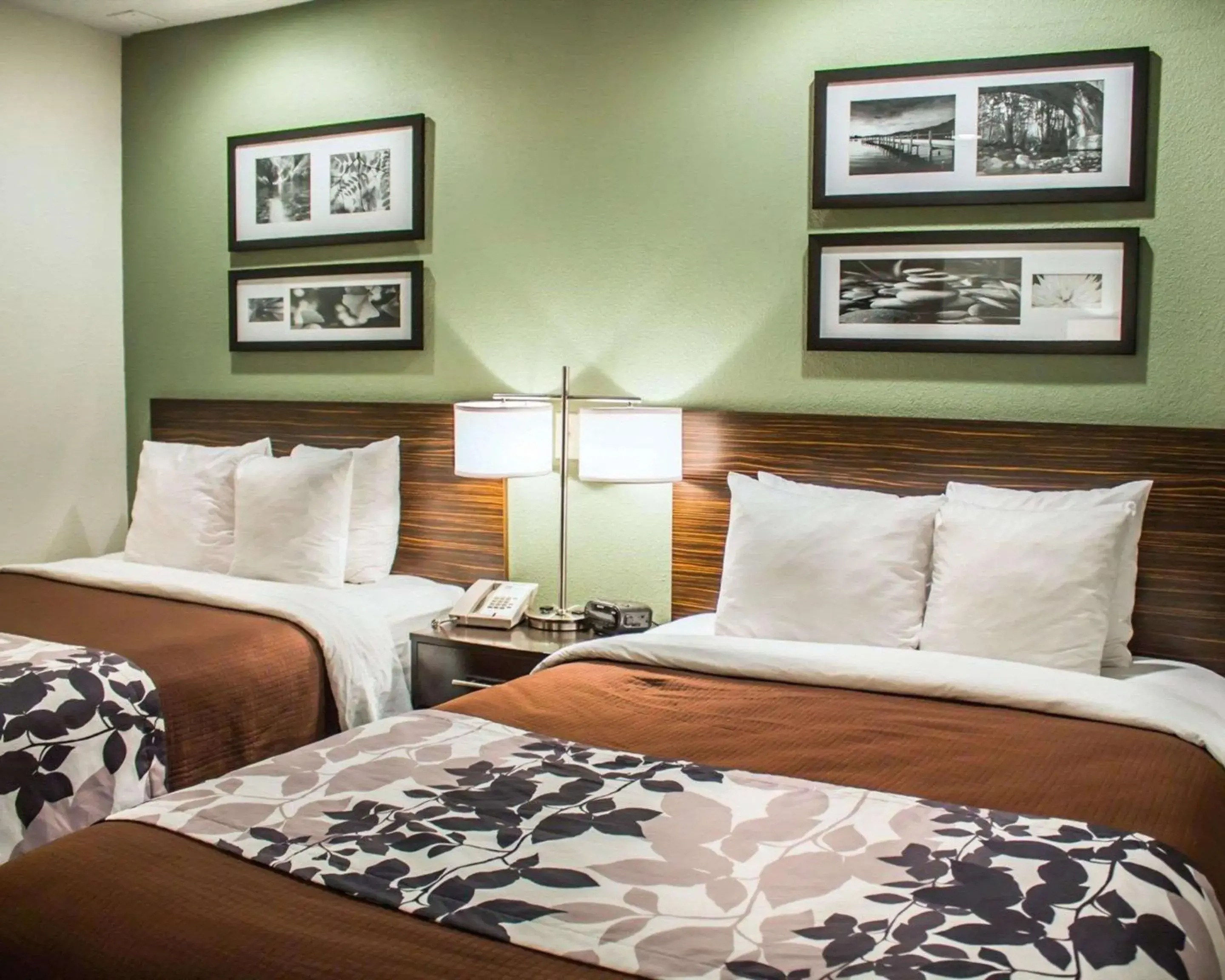 Photo of the whole room, Bed in Sleep Inn Summersville - New River Gorge Area Photo of the whole room, Bed in Sleep Inn Summersville - New River Gorge Area