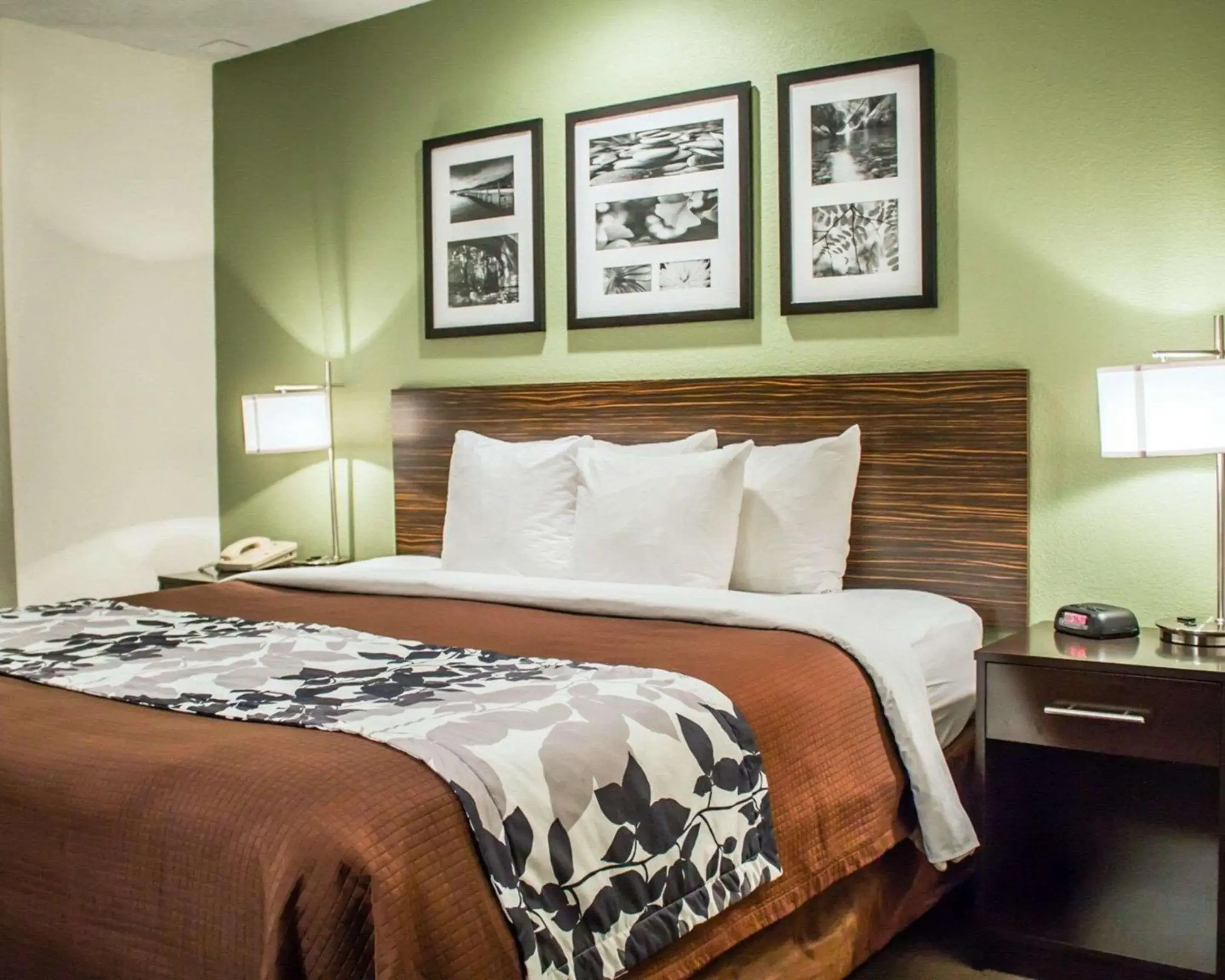 Photo of the whole room, Bed in Sleep Inn Summersville - New River Gorge Area Photo of the whole room, Bed in Sleep Inn Summersville - New River Gorge Area