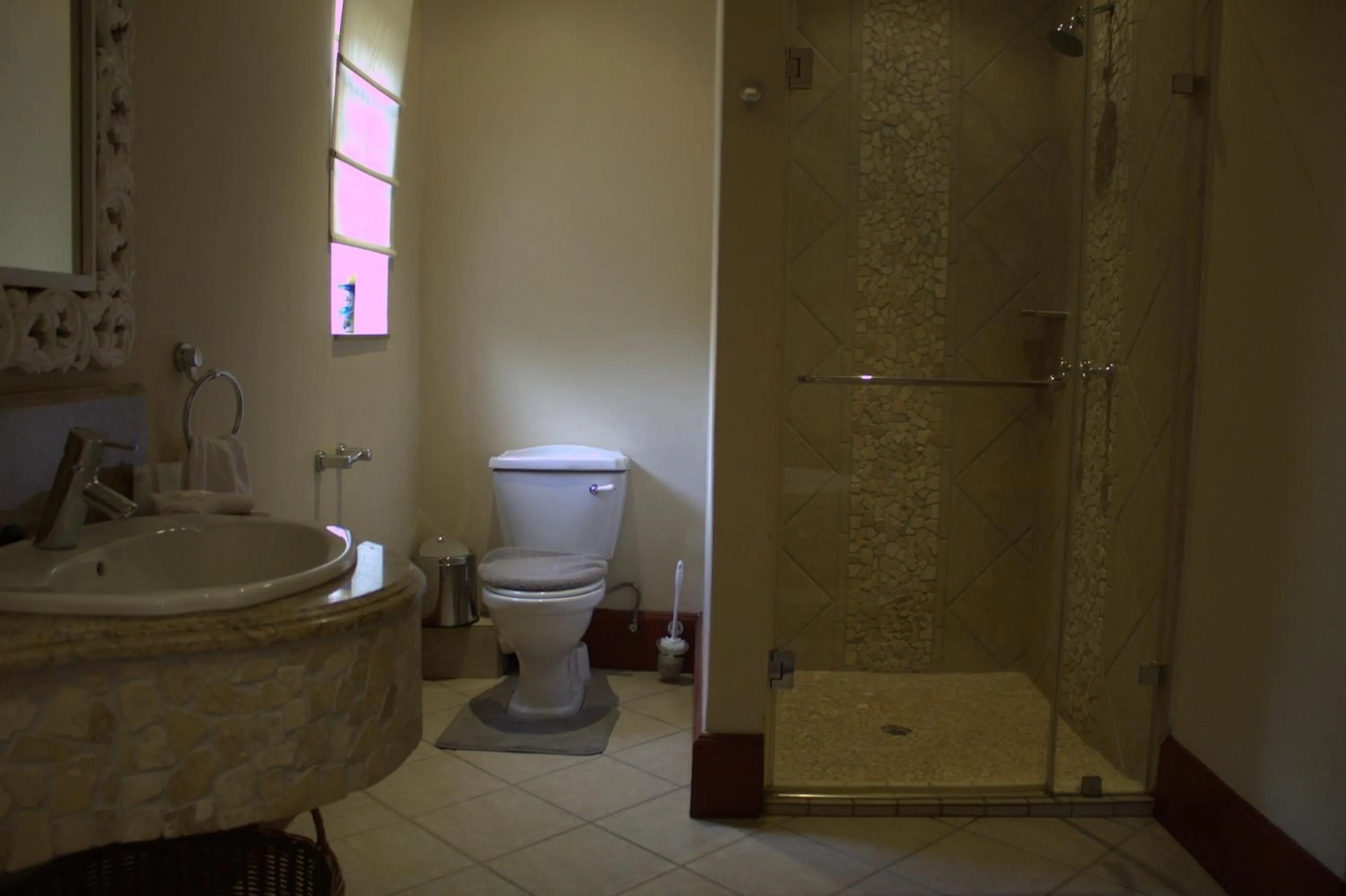 Shower in TDM's Boutique Guest House