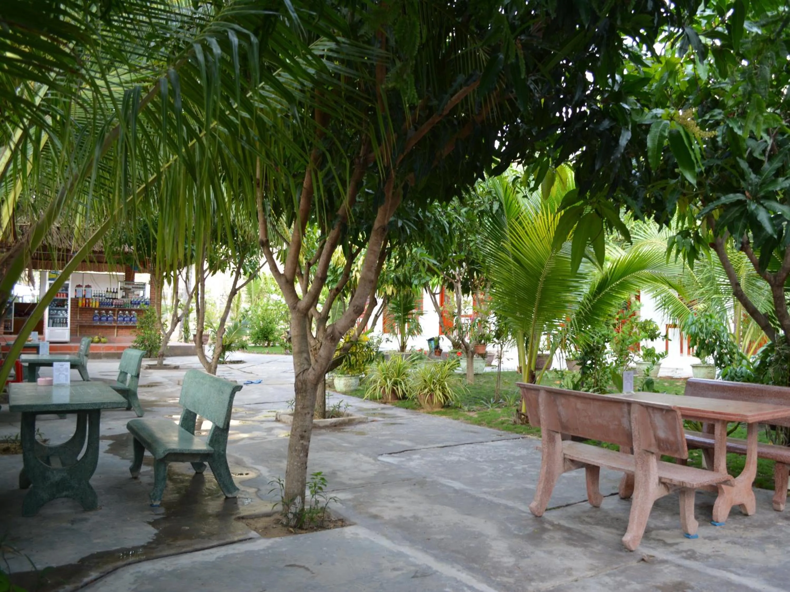 Garden in Diem Lien Guesthouse