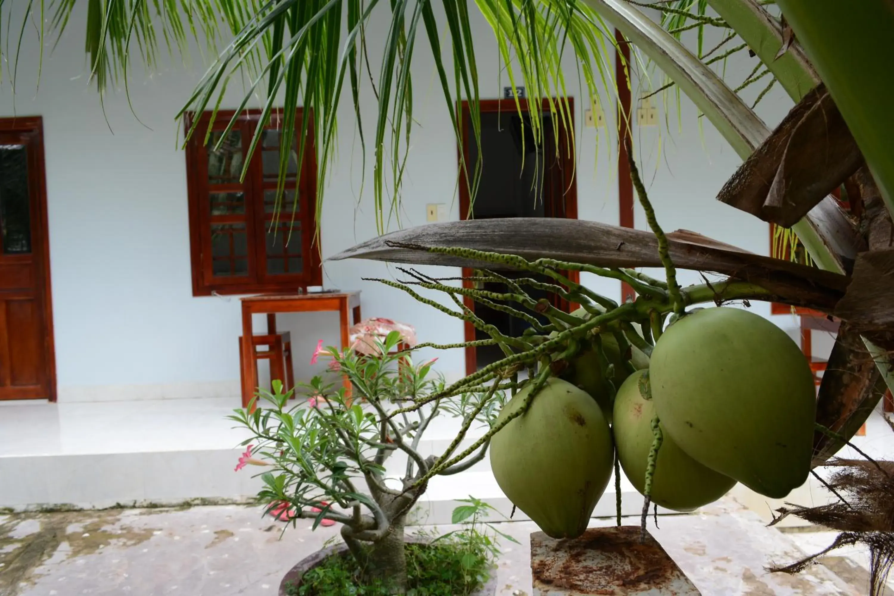 Standard Quadruple Room in Diem Lien Guesthouse Standard Quadruple Room in Diem Lien Guesthouse