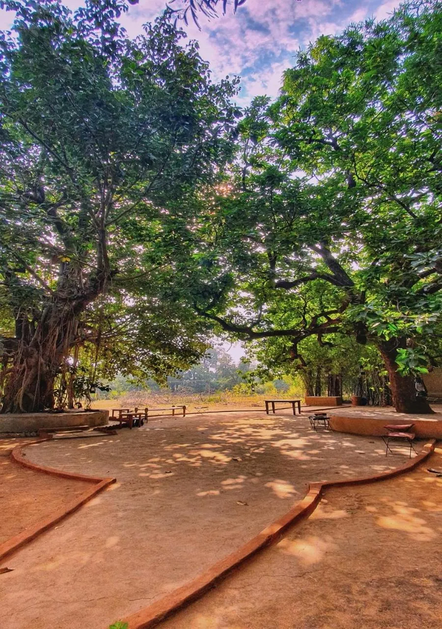 Garden in Greetoe Celebration Van Vilas