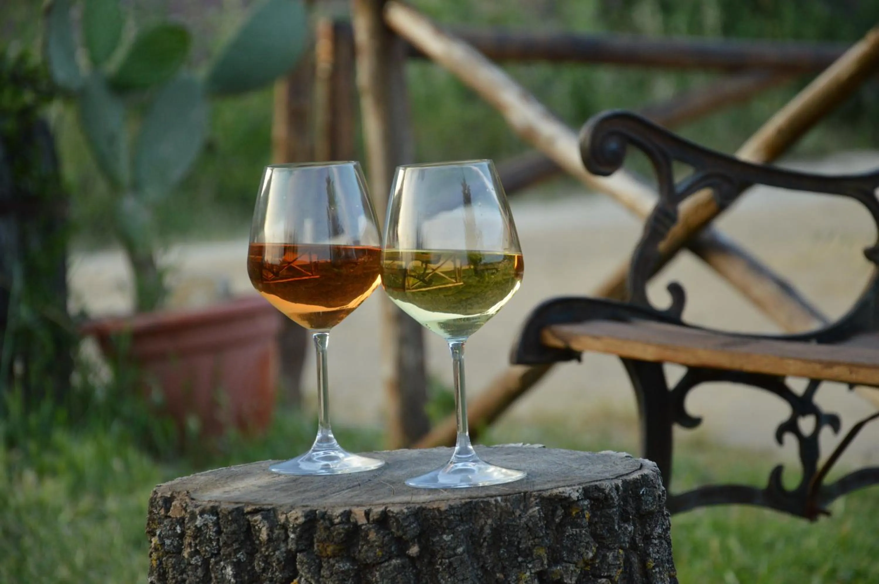 Drinks in Agriturismo Masseria La Chiusa